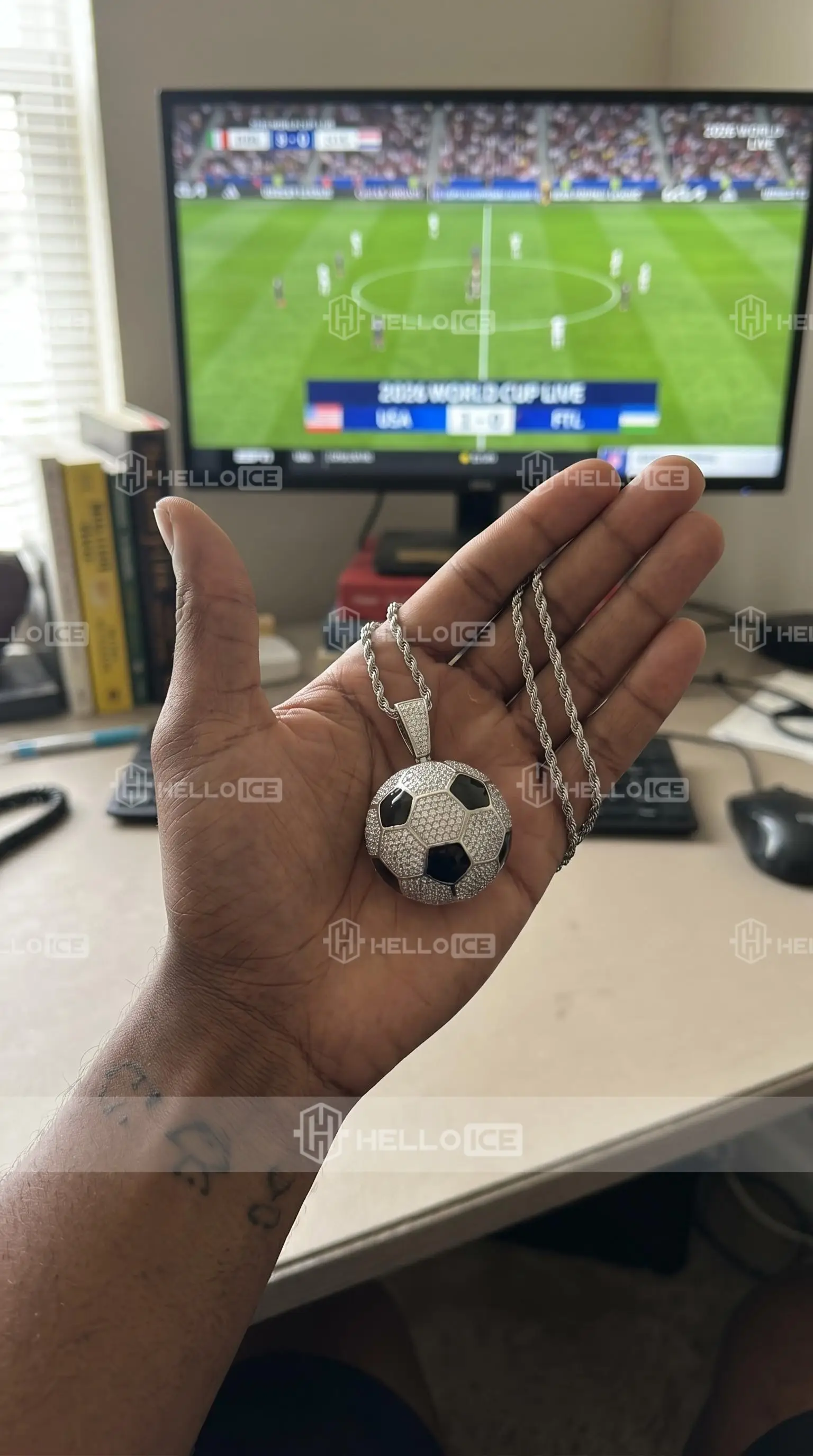 Helloice Review Image