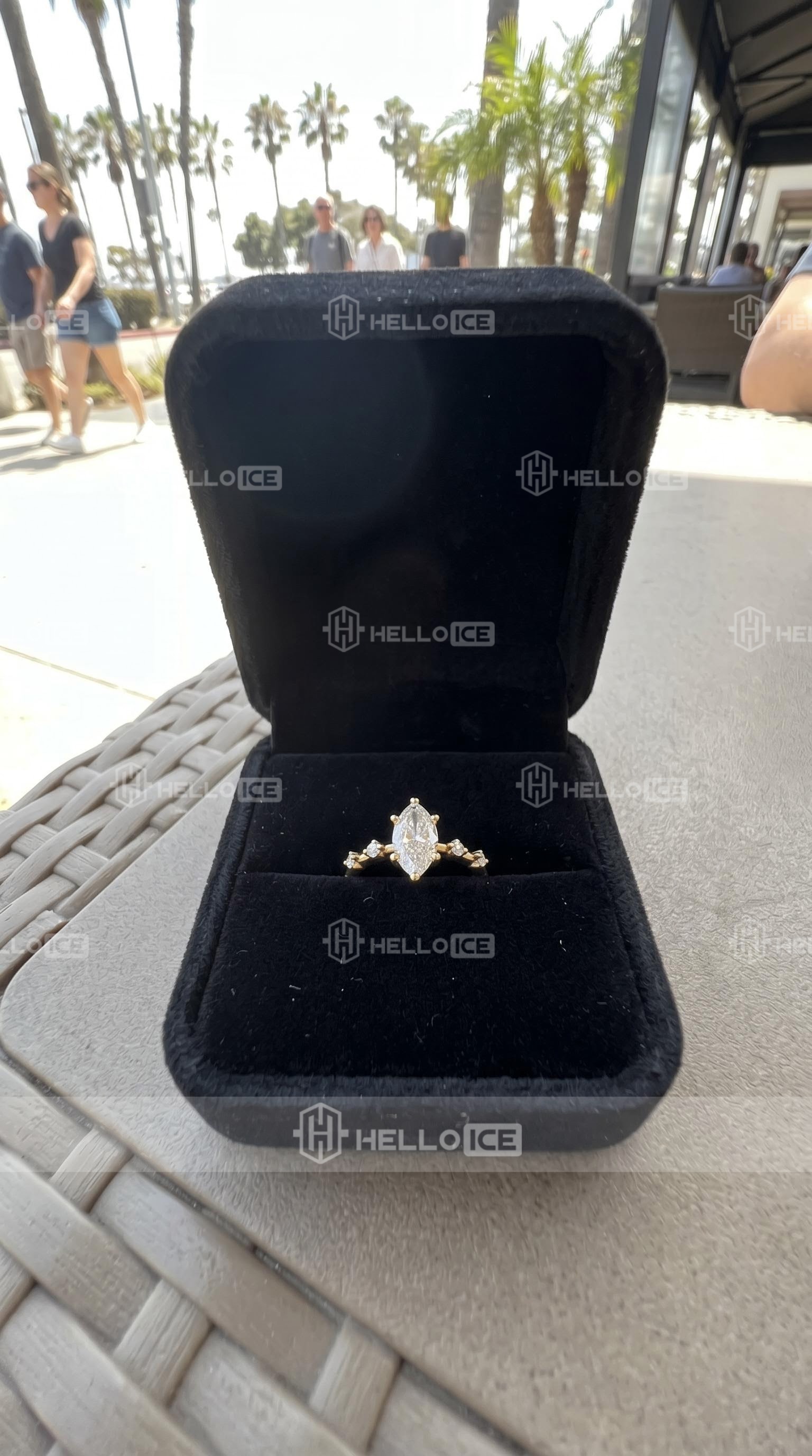 Helloice Review Image