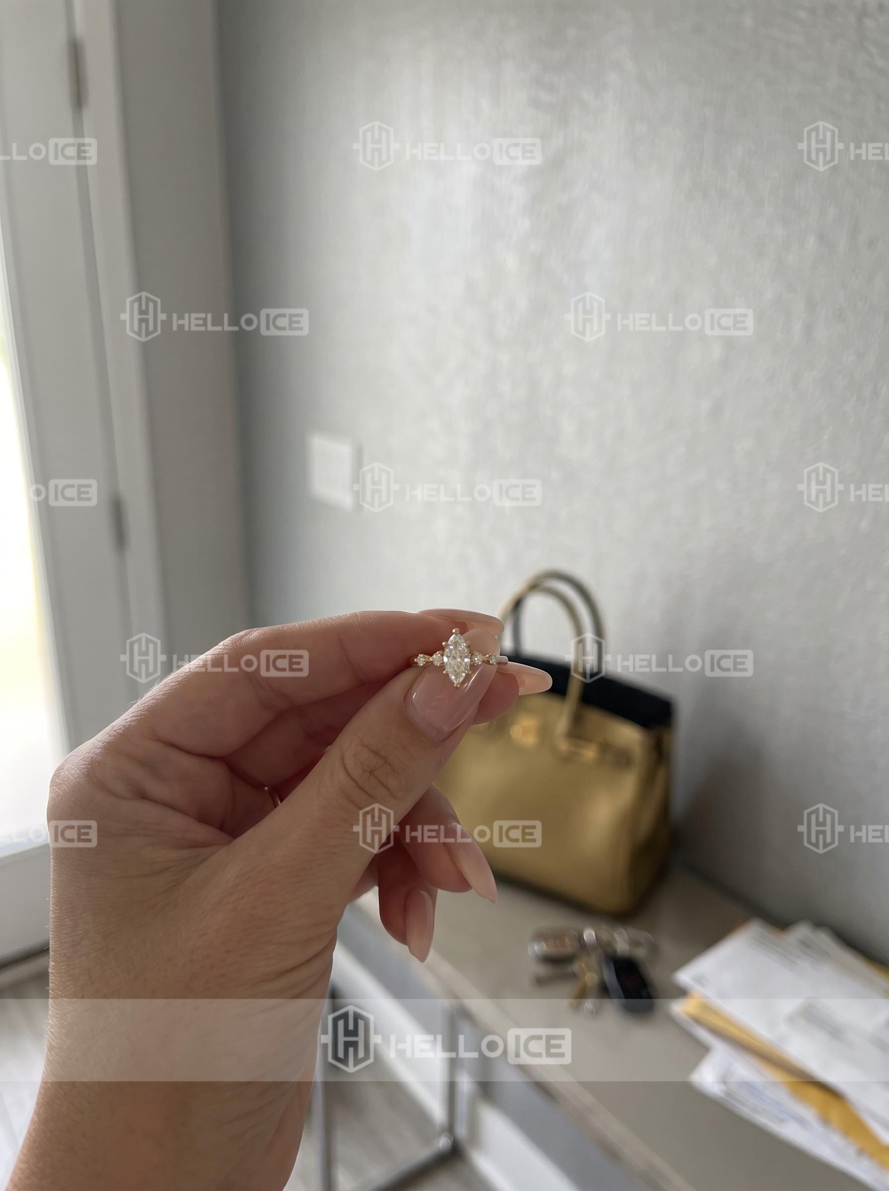 Helloice Review Image