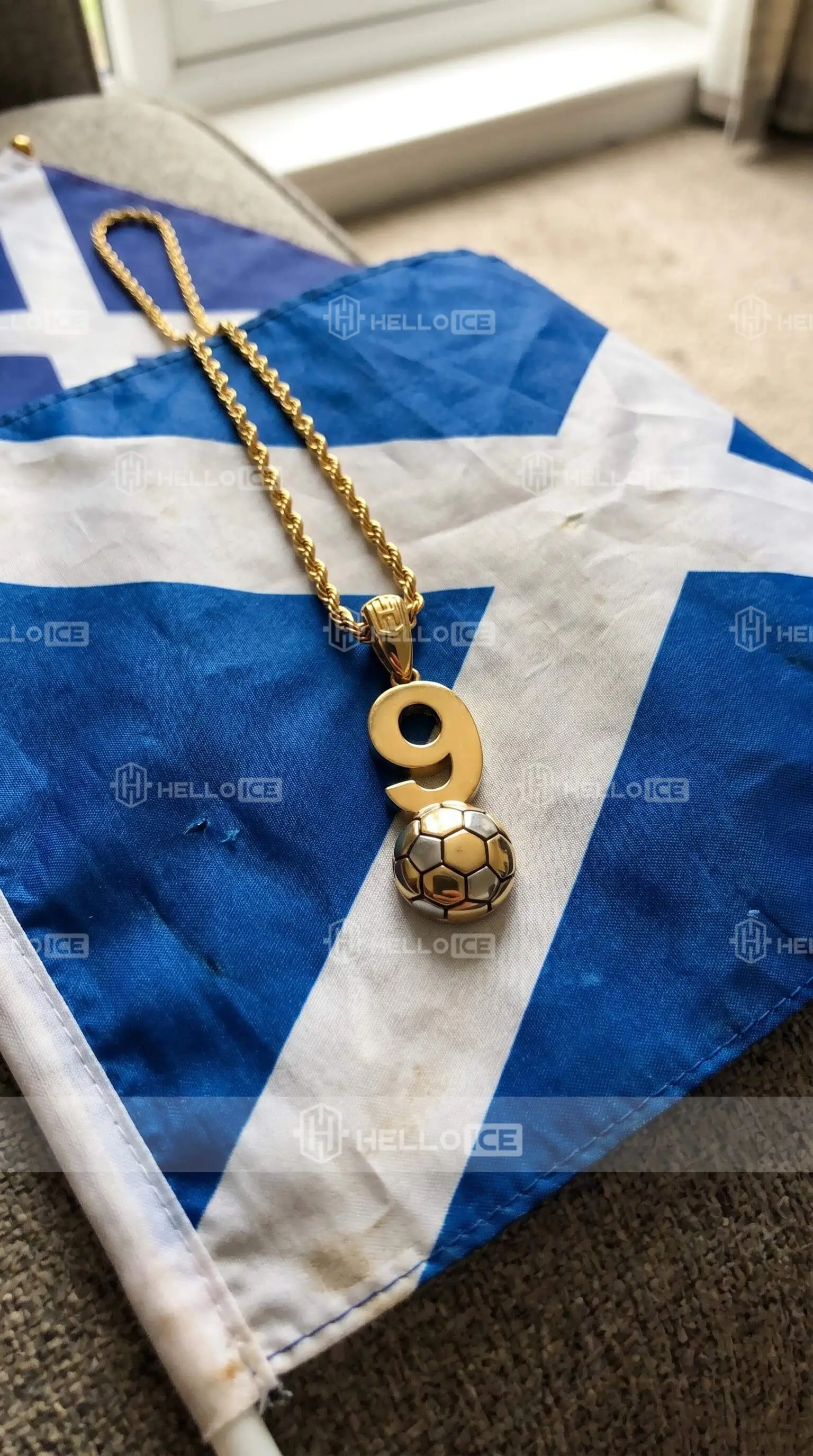Helloice Review Image