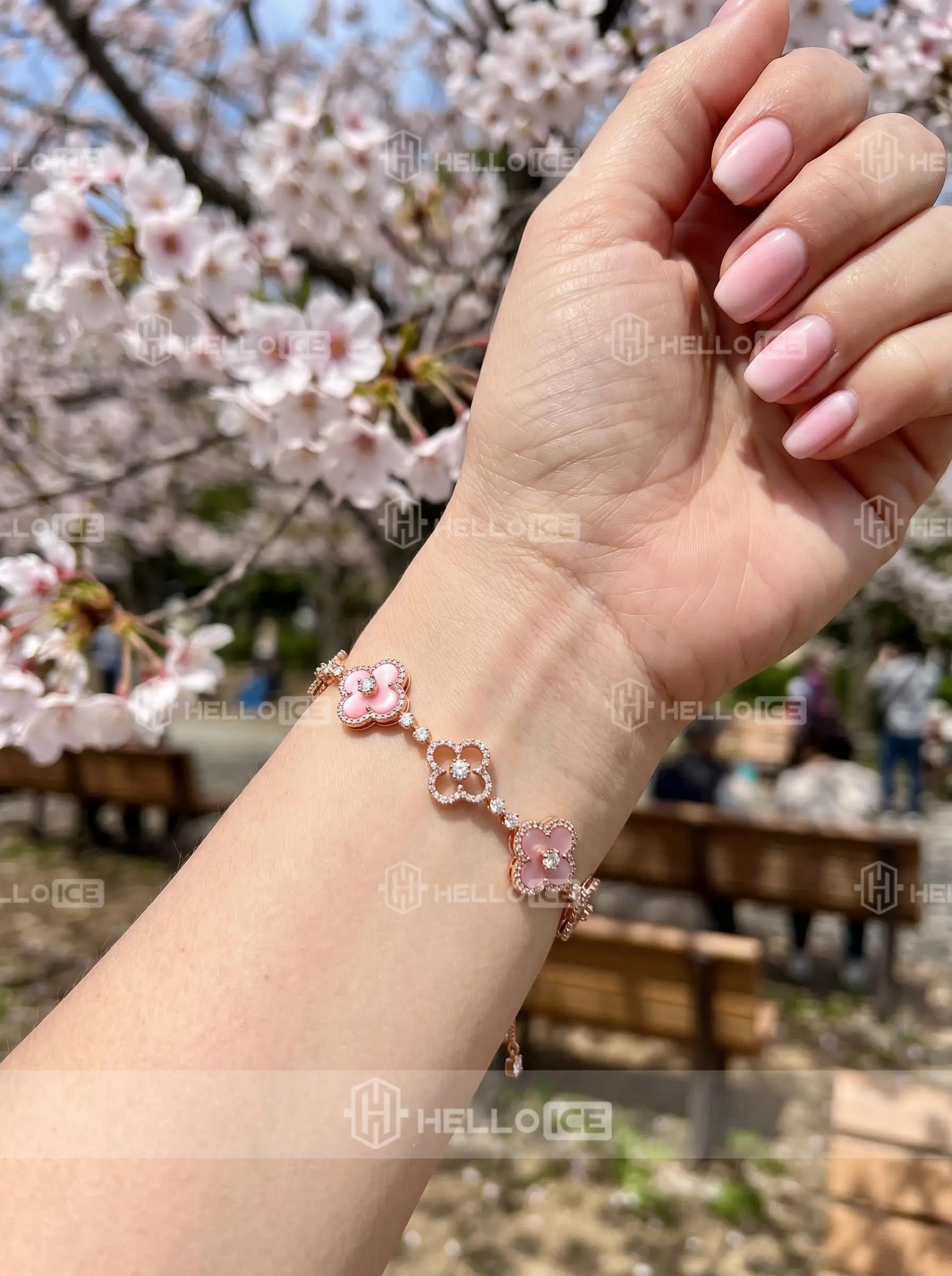 Helloice Review Image