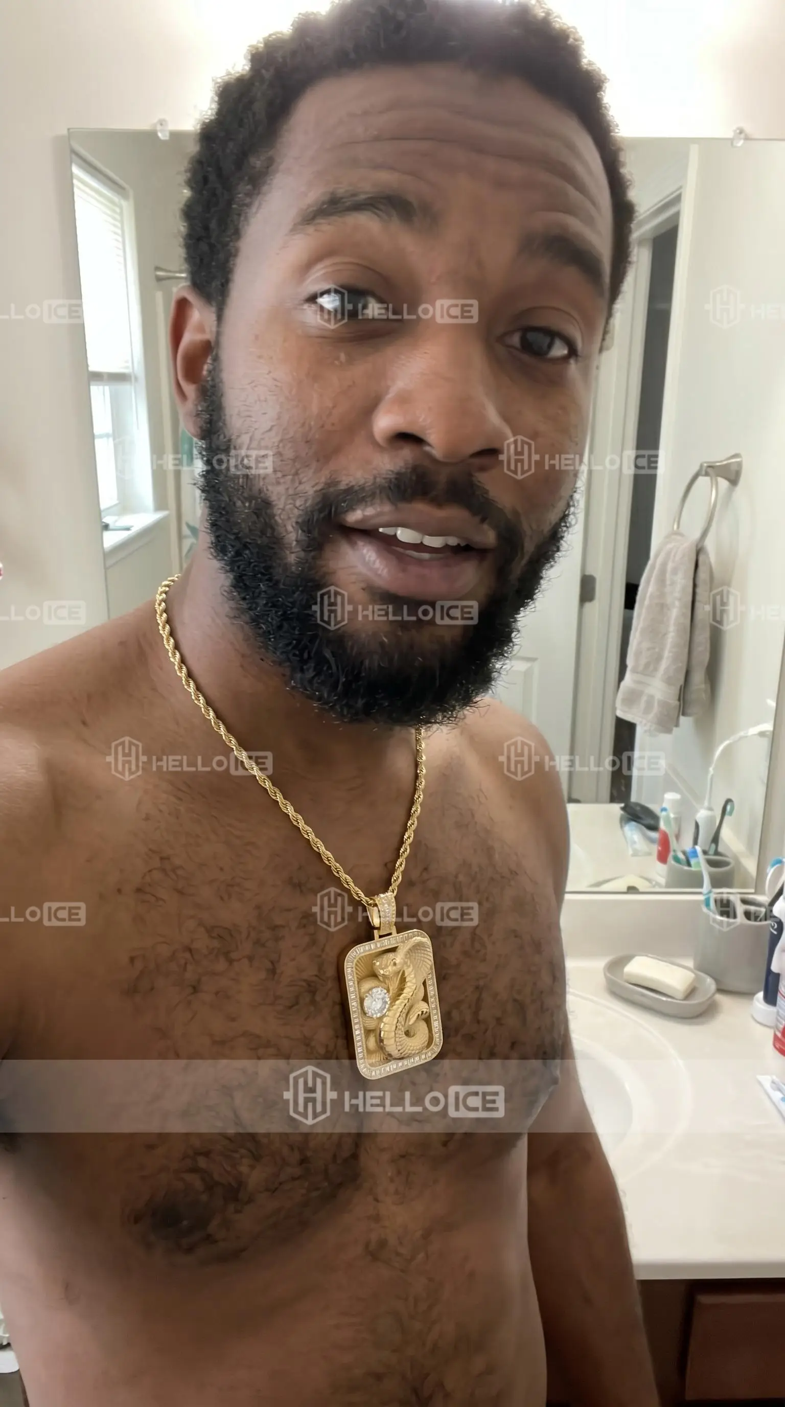 Helloice Review Image