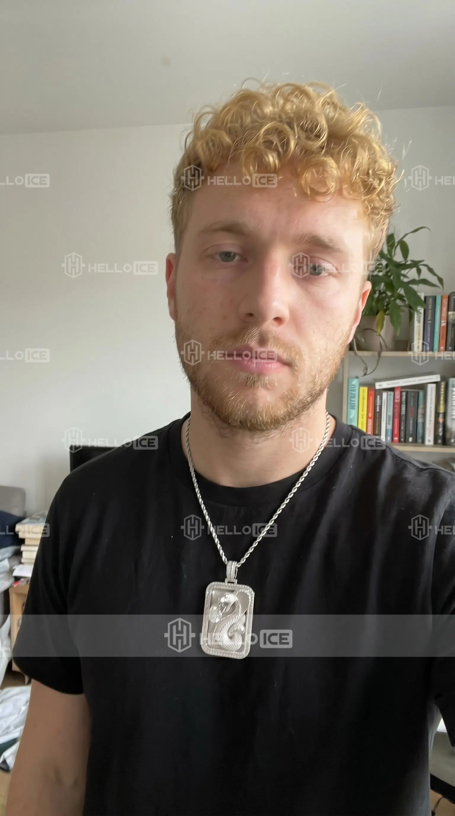 Helloice Review Image