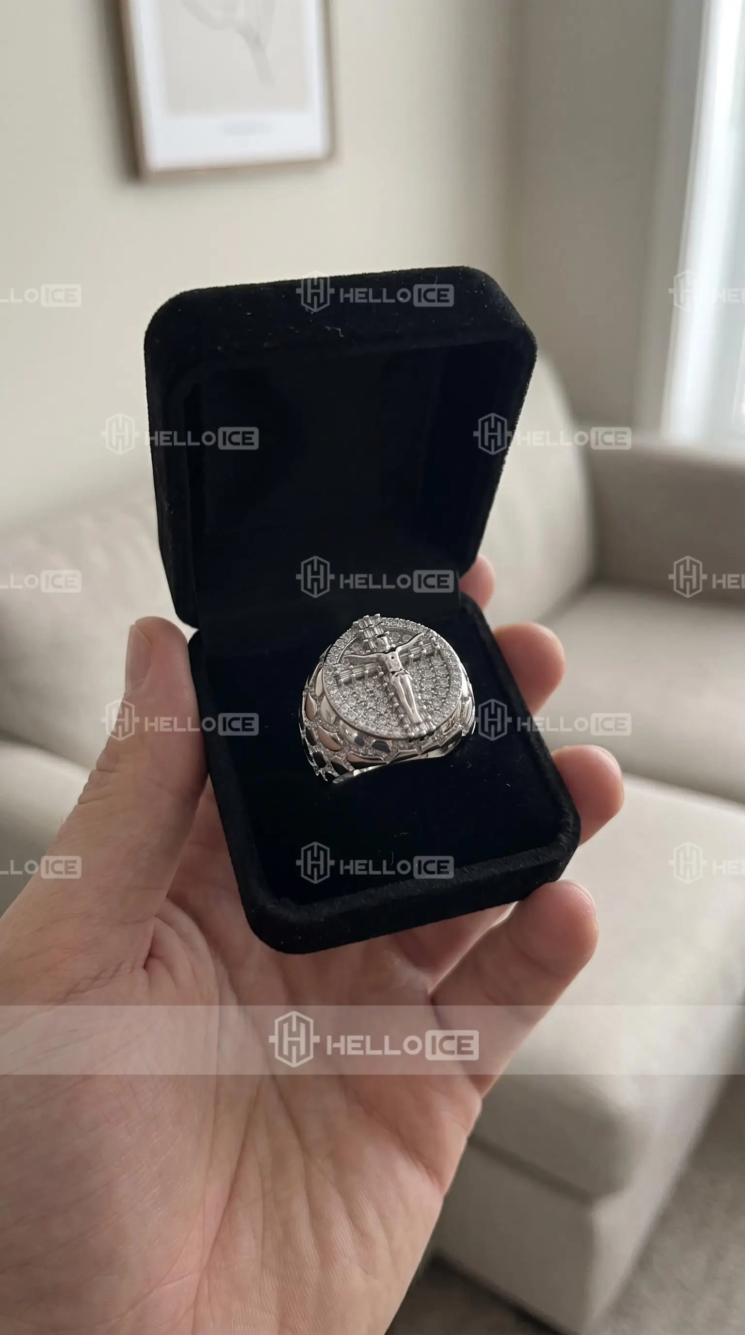 Helloice Review Image