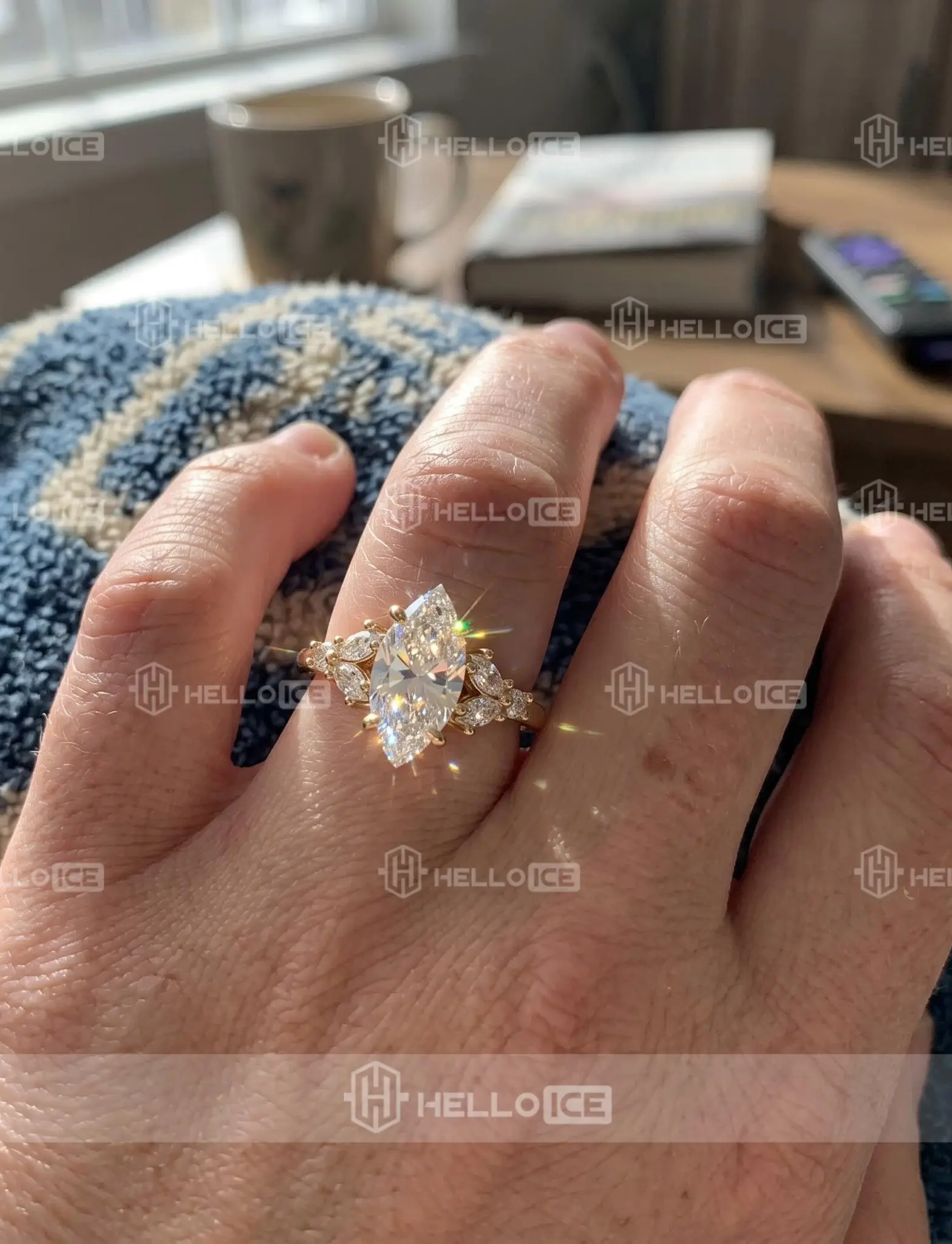 Helloice Review Image