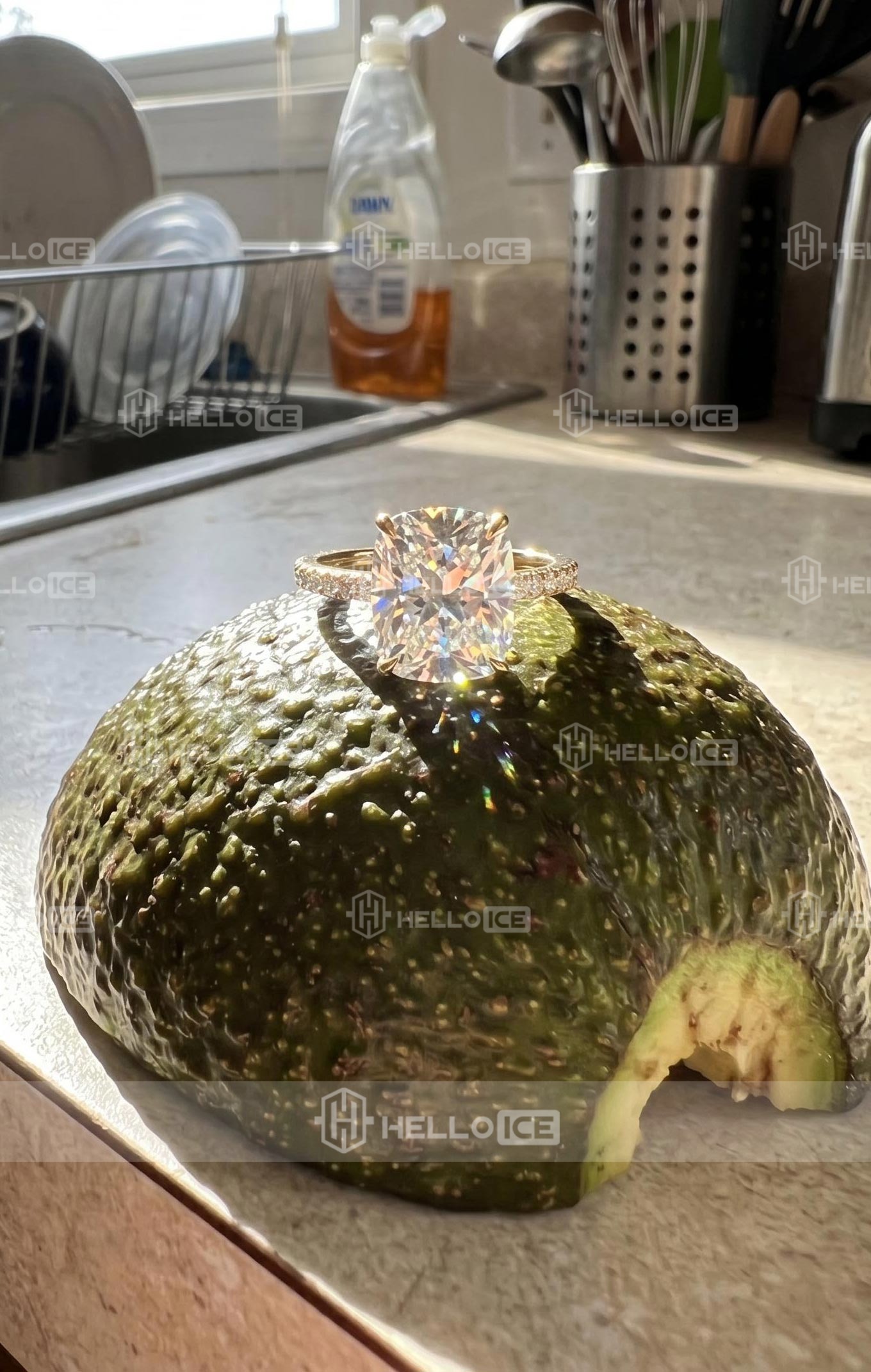 Helloice Review Image