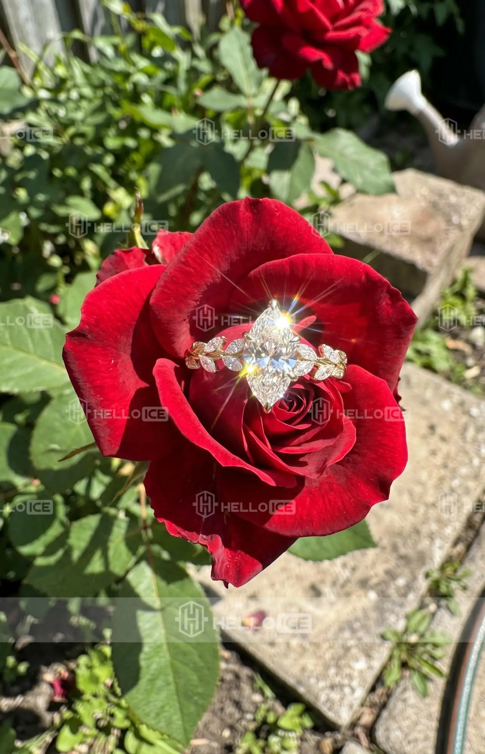 Helloice Review Image