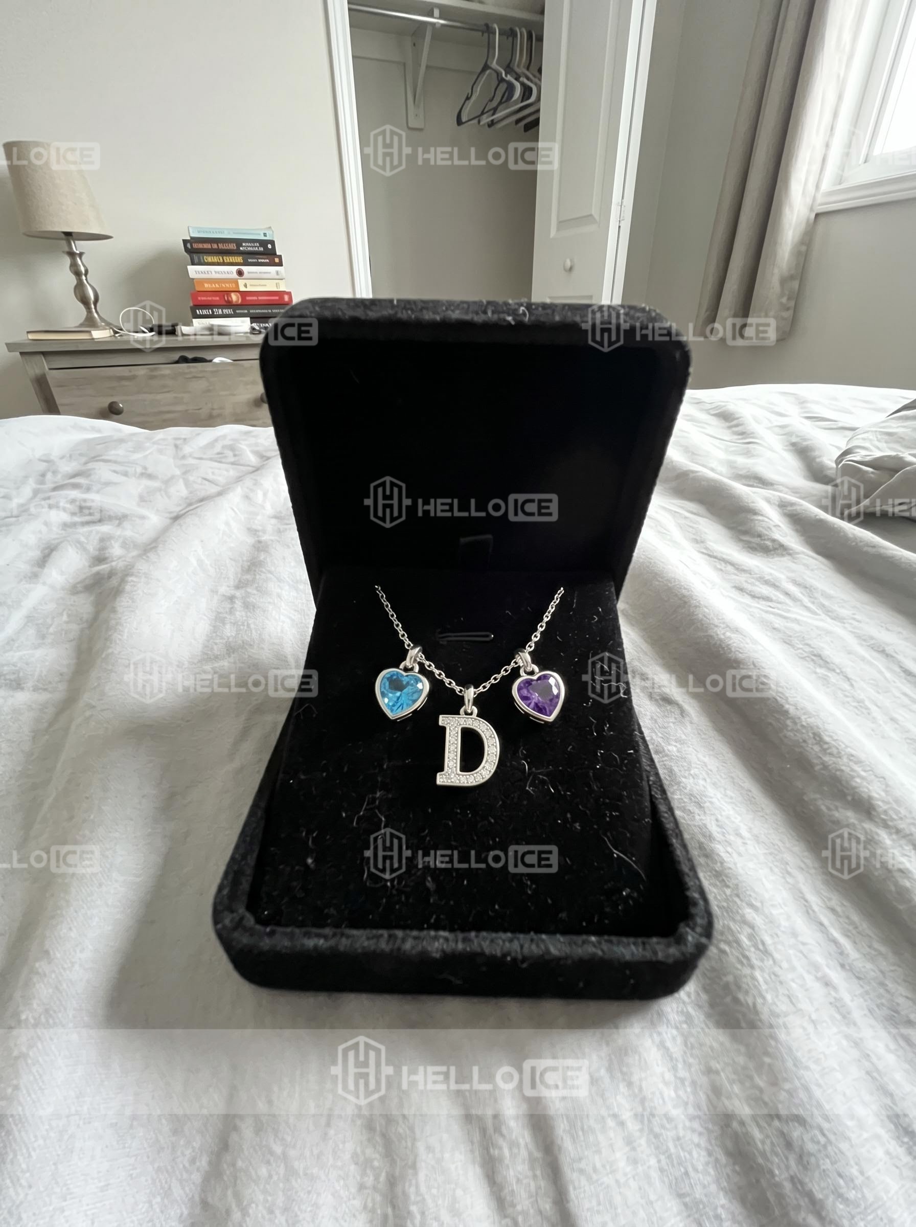Helloice Review Image