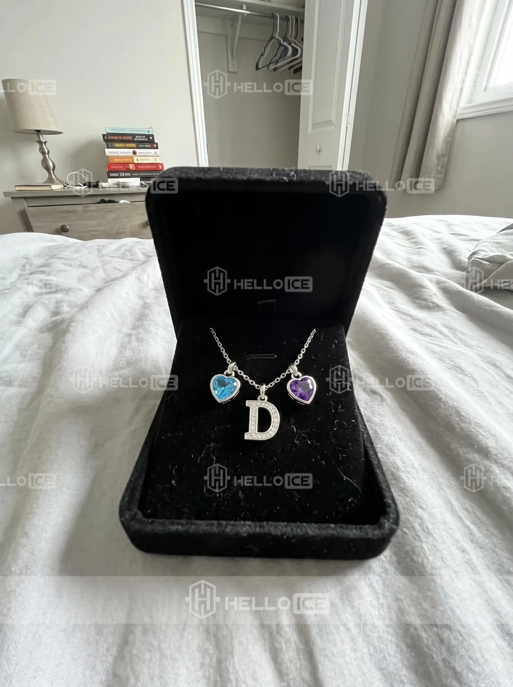 Helloice Review Image