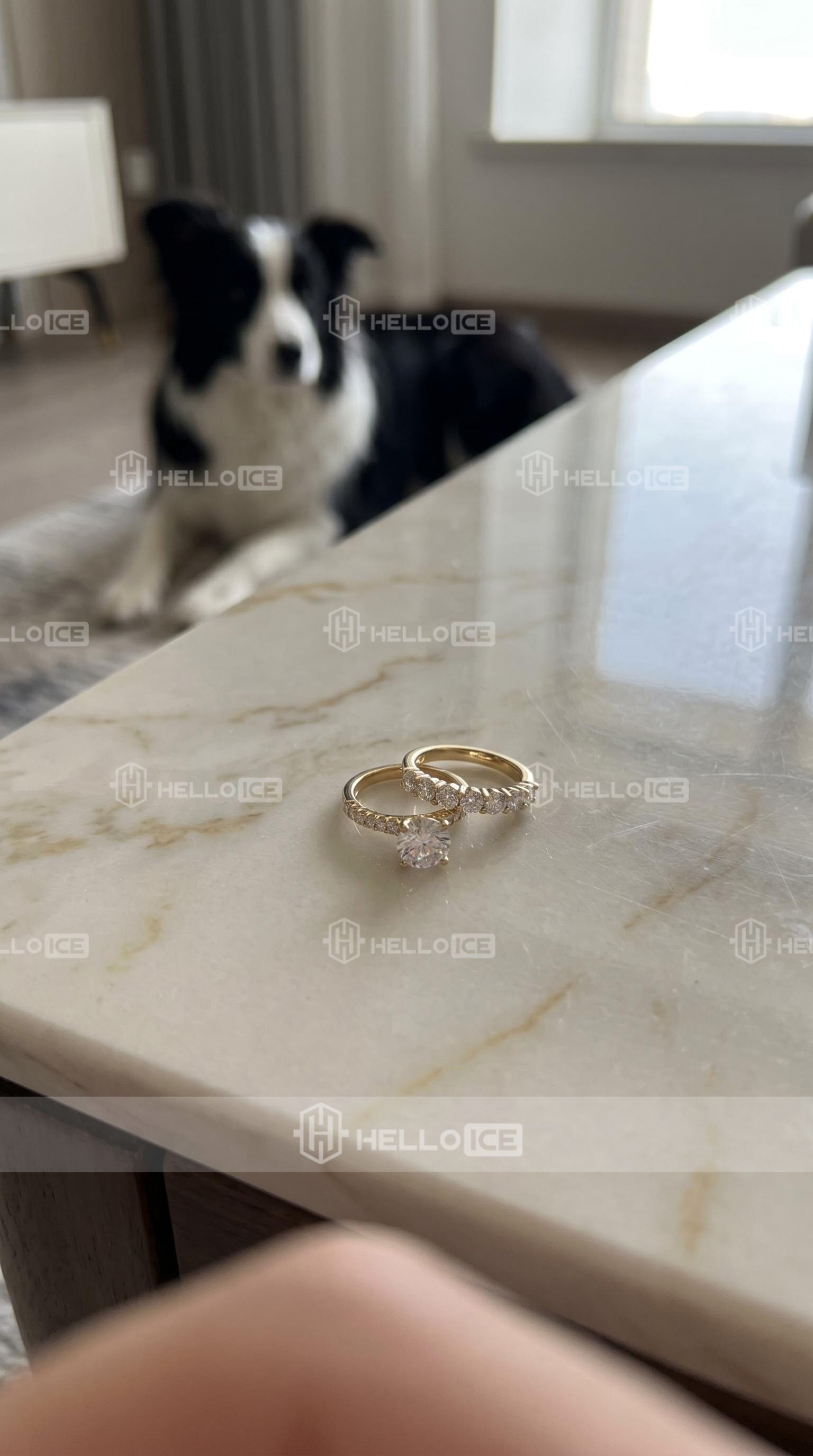 Helloice Review Image