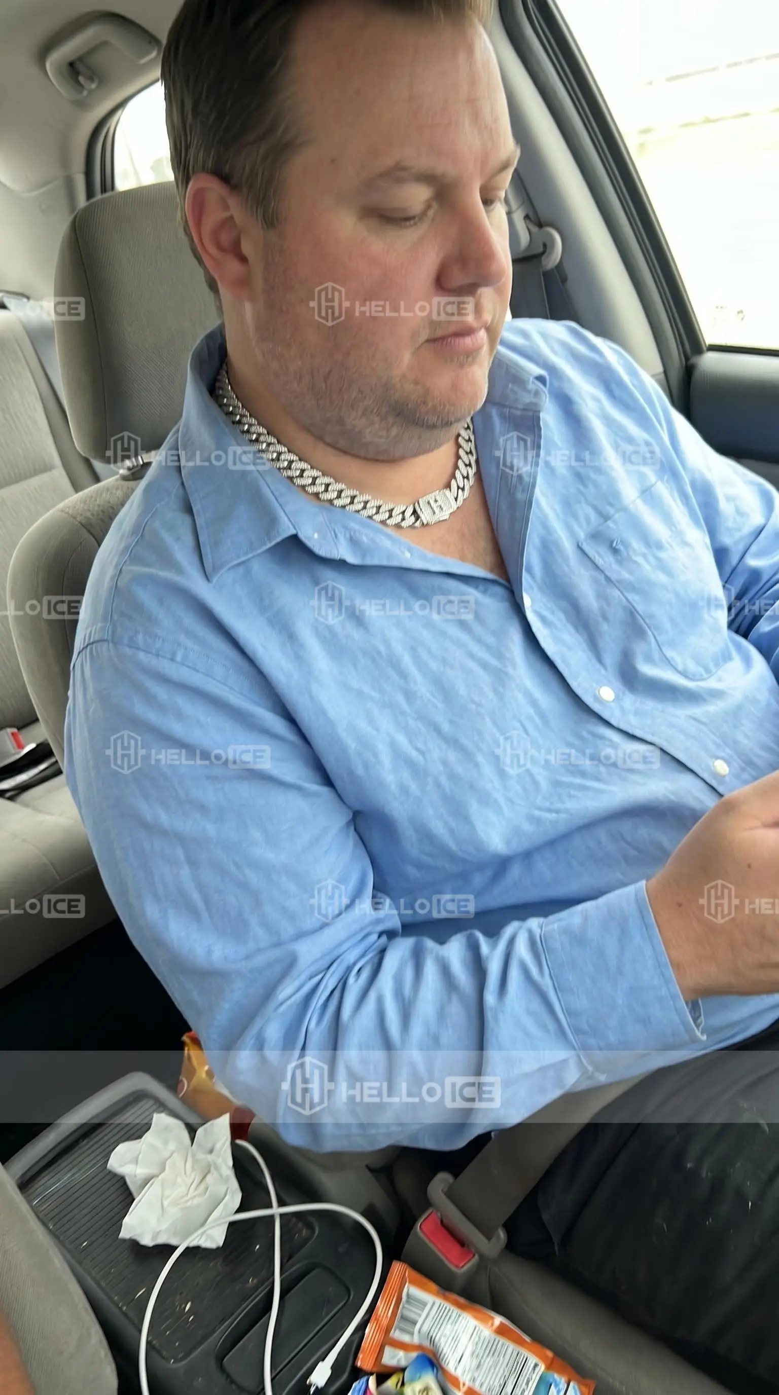 Helloice Review Image