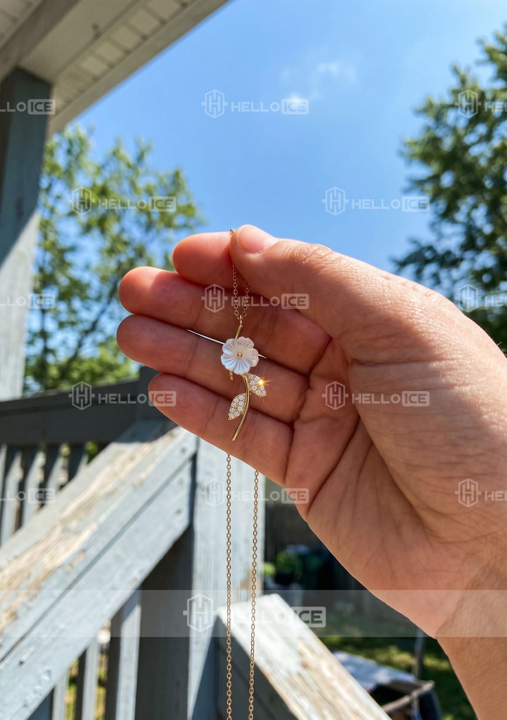 Helloice Review Image