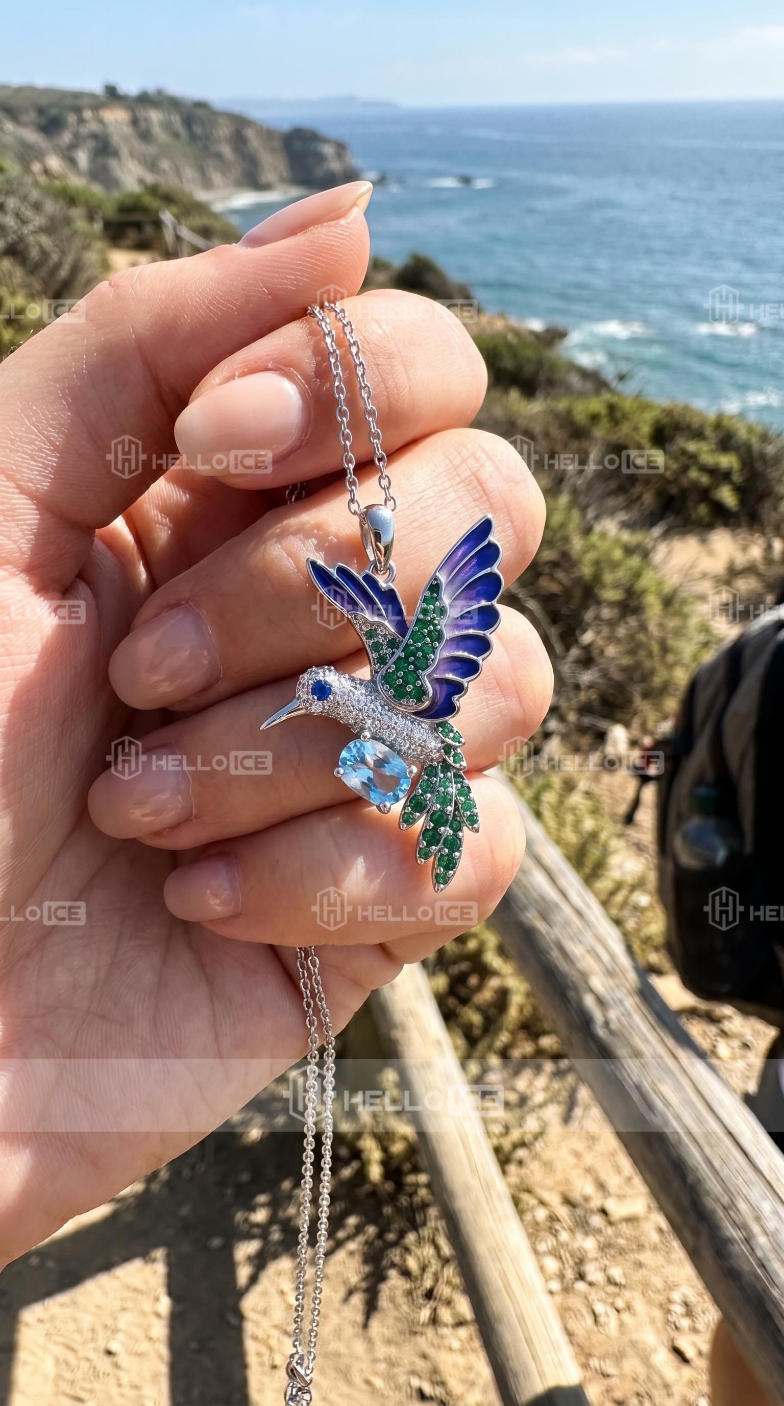 Helloice Review Image