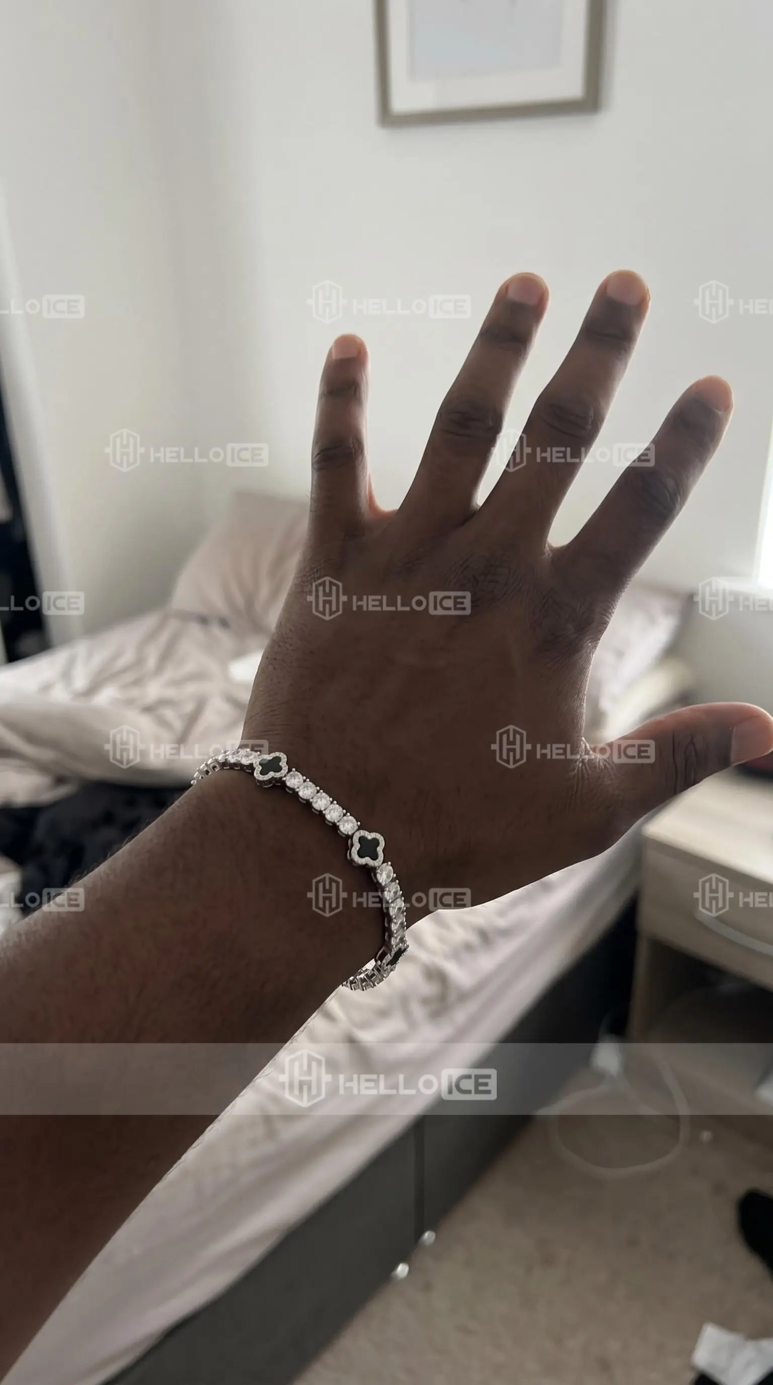Helloice Review Image