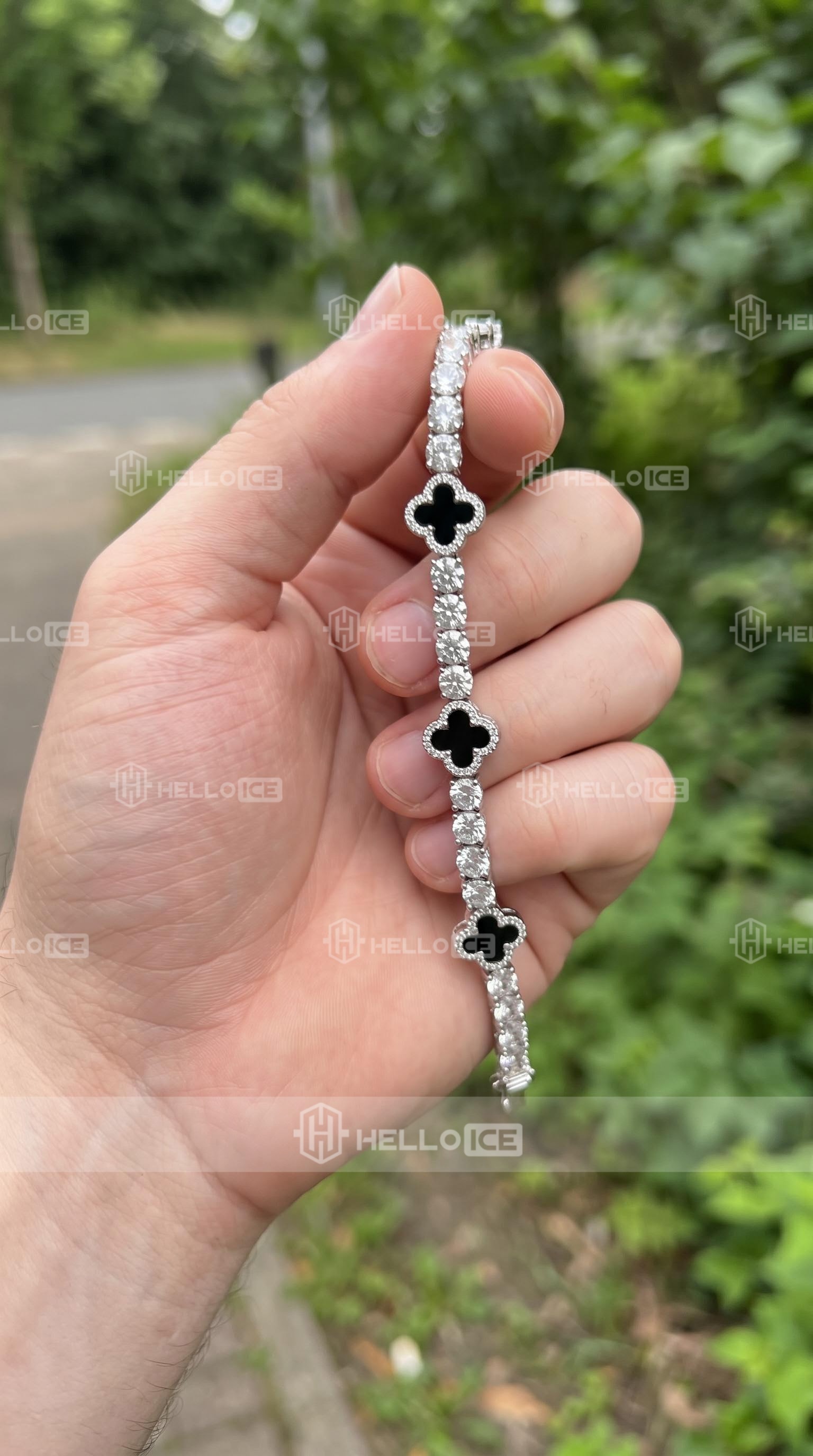 Helloice Review Image