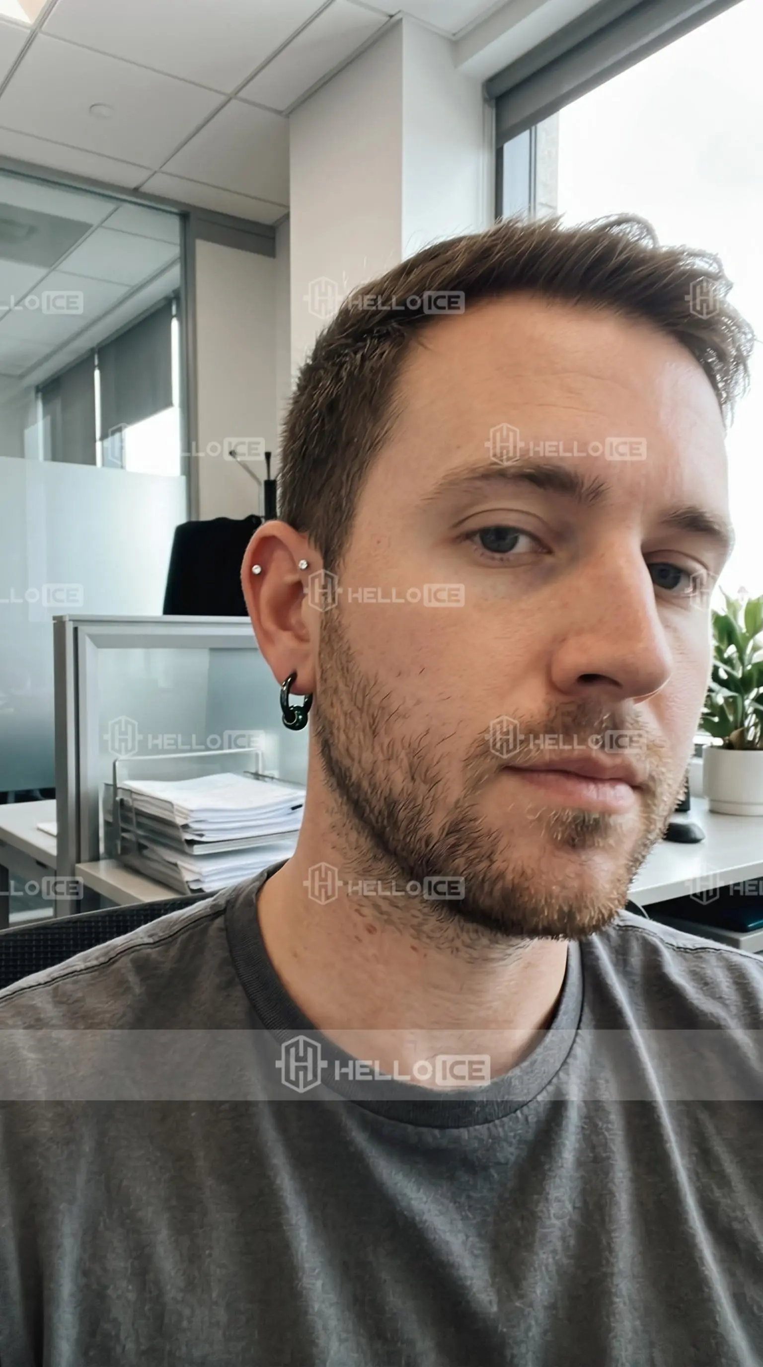 Helloice Review Image
