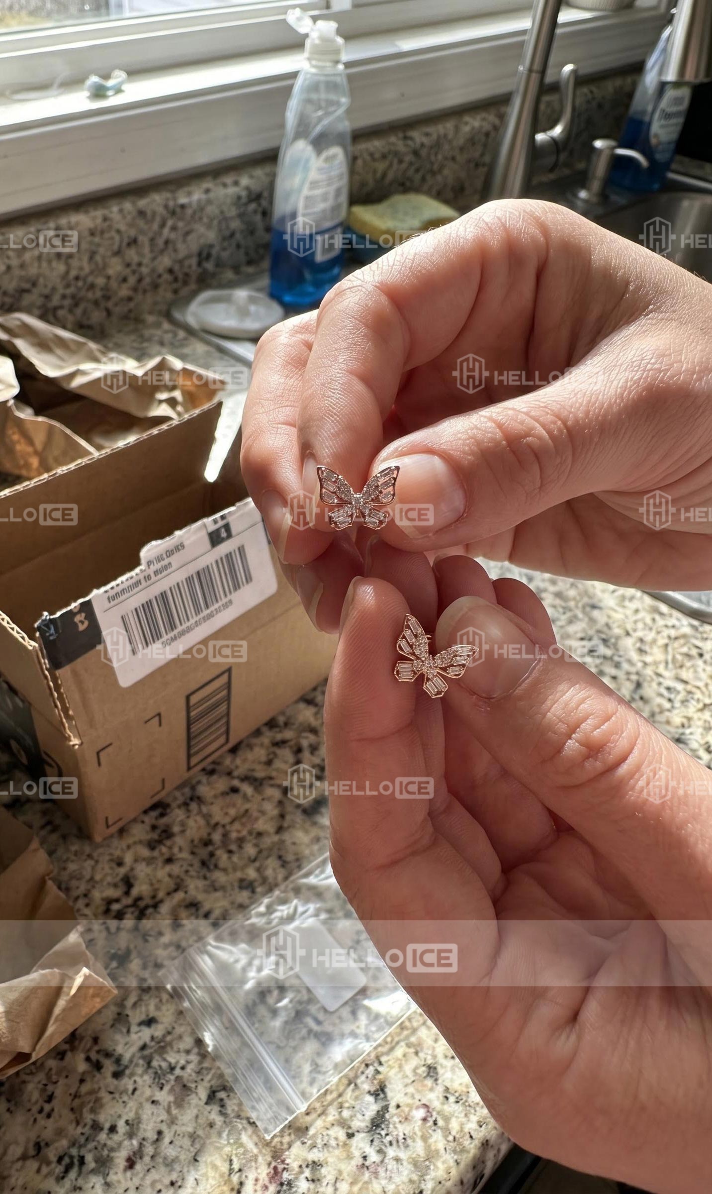 Helloice Review Image