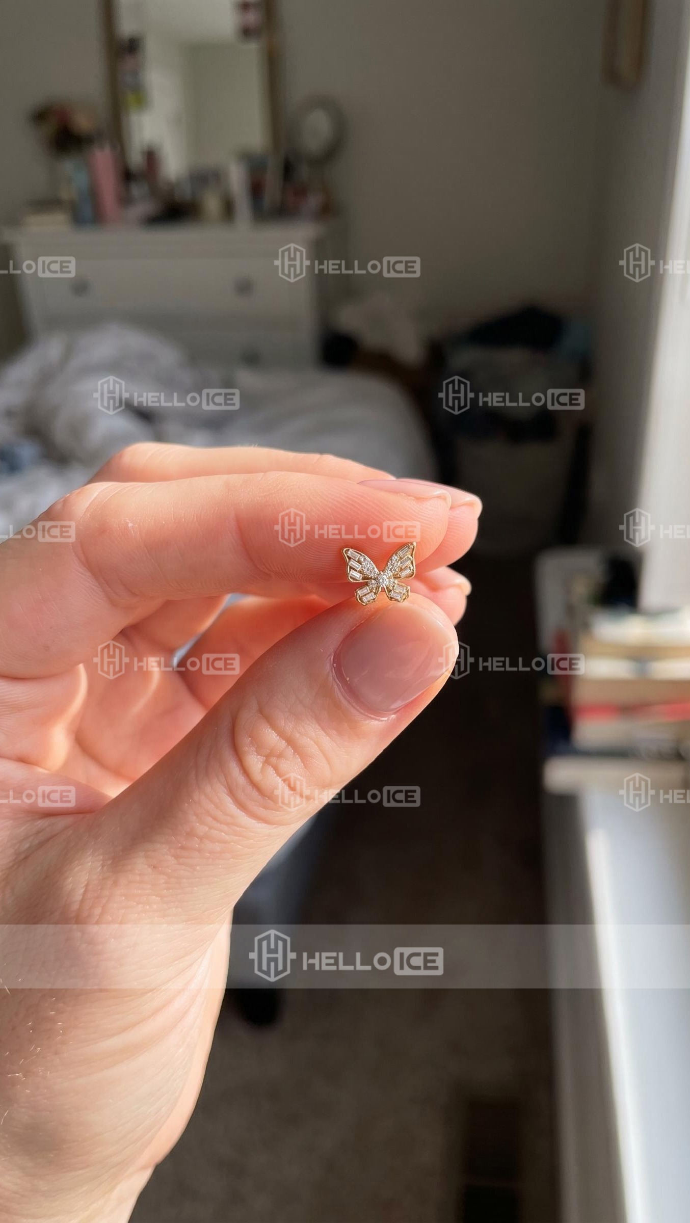 Helloice Review Image