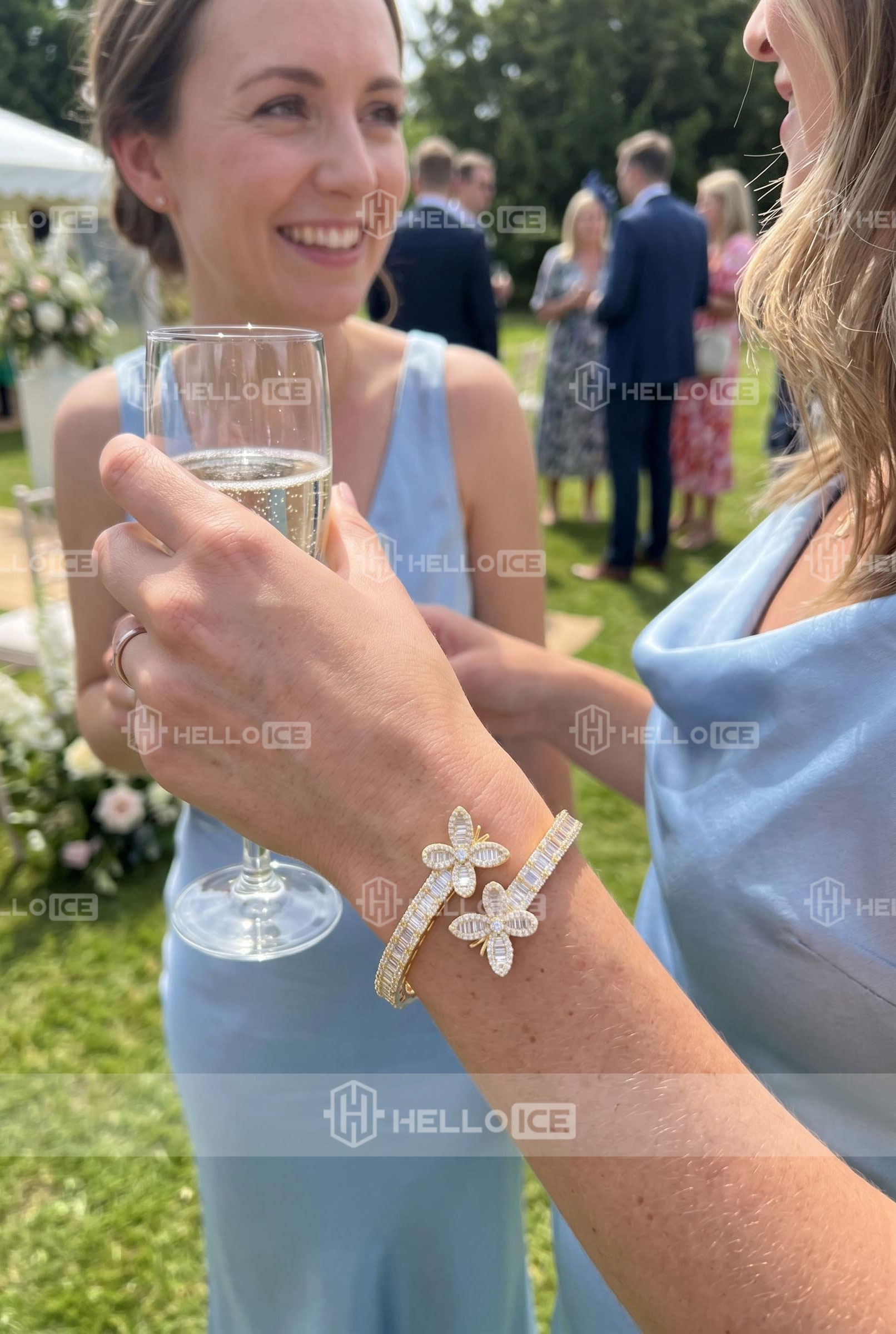Helloice Review Image