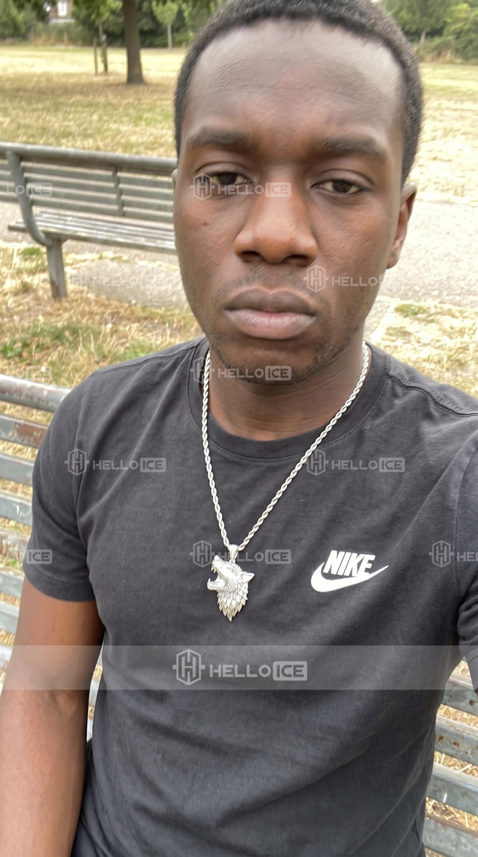 Helloice Review Image