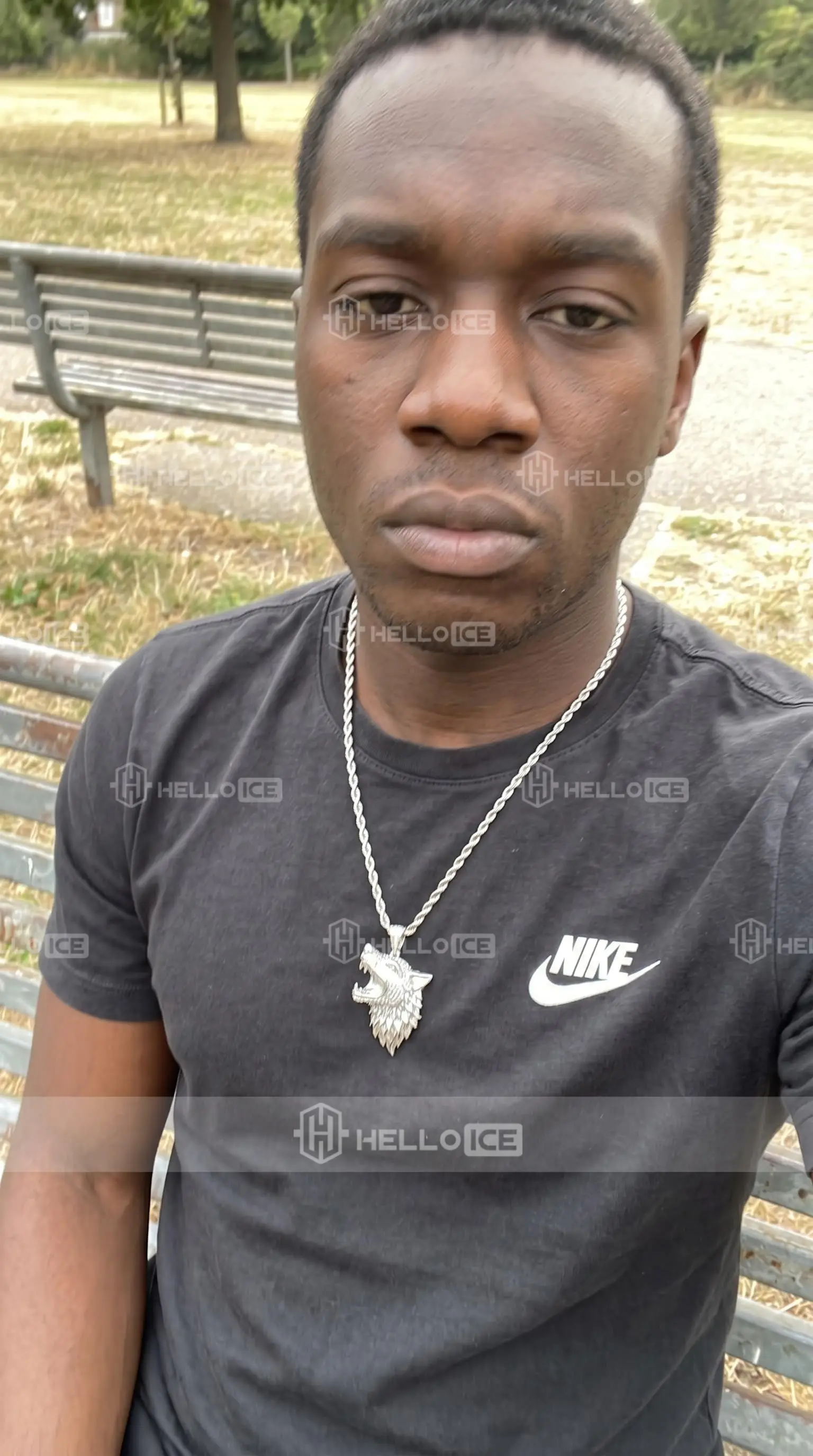 Helloice Review Image