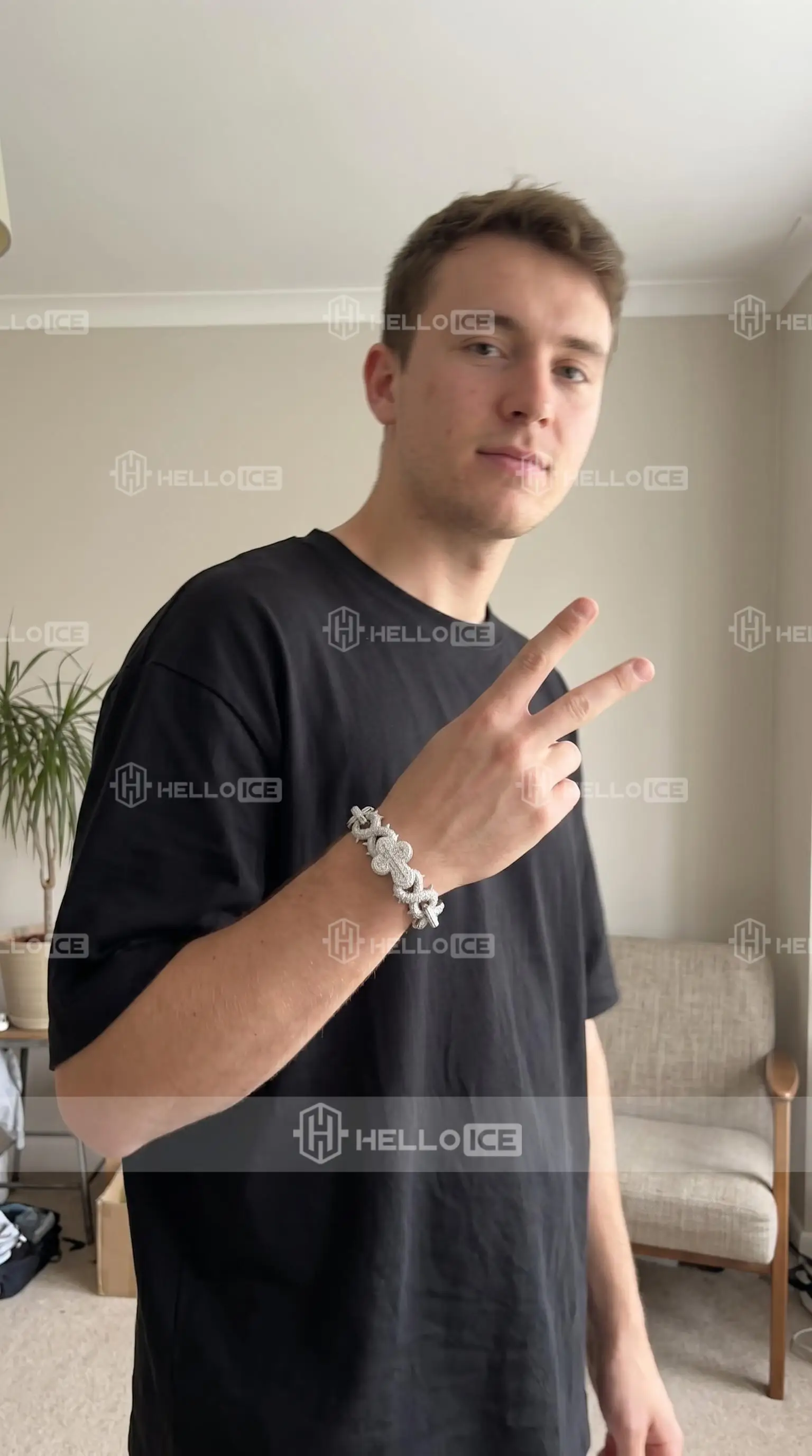 Helloice Review Image