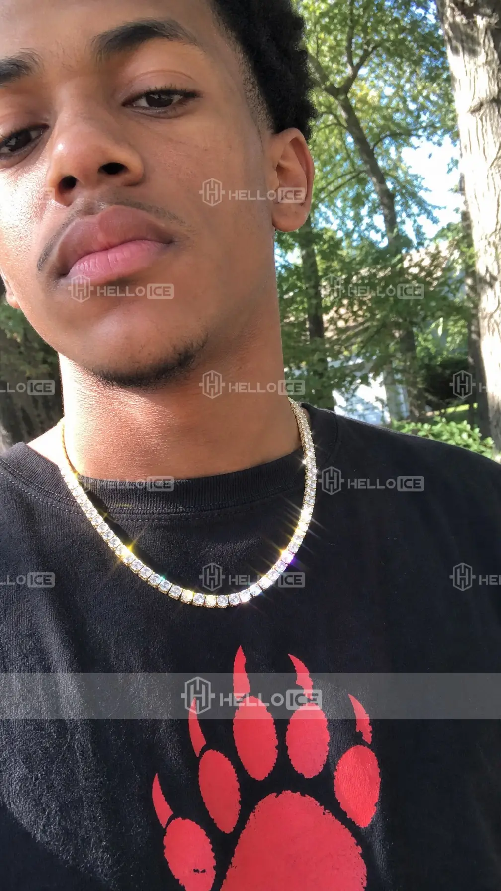 Helloice Review Image