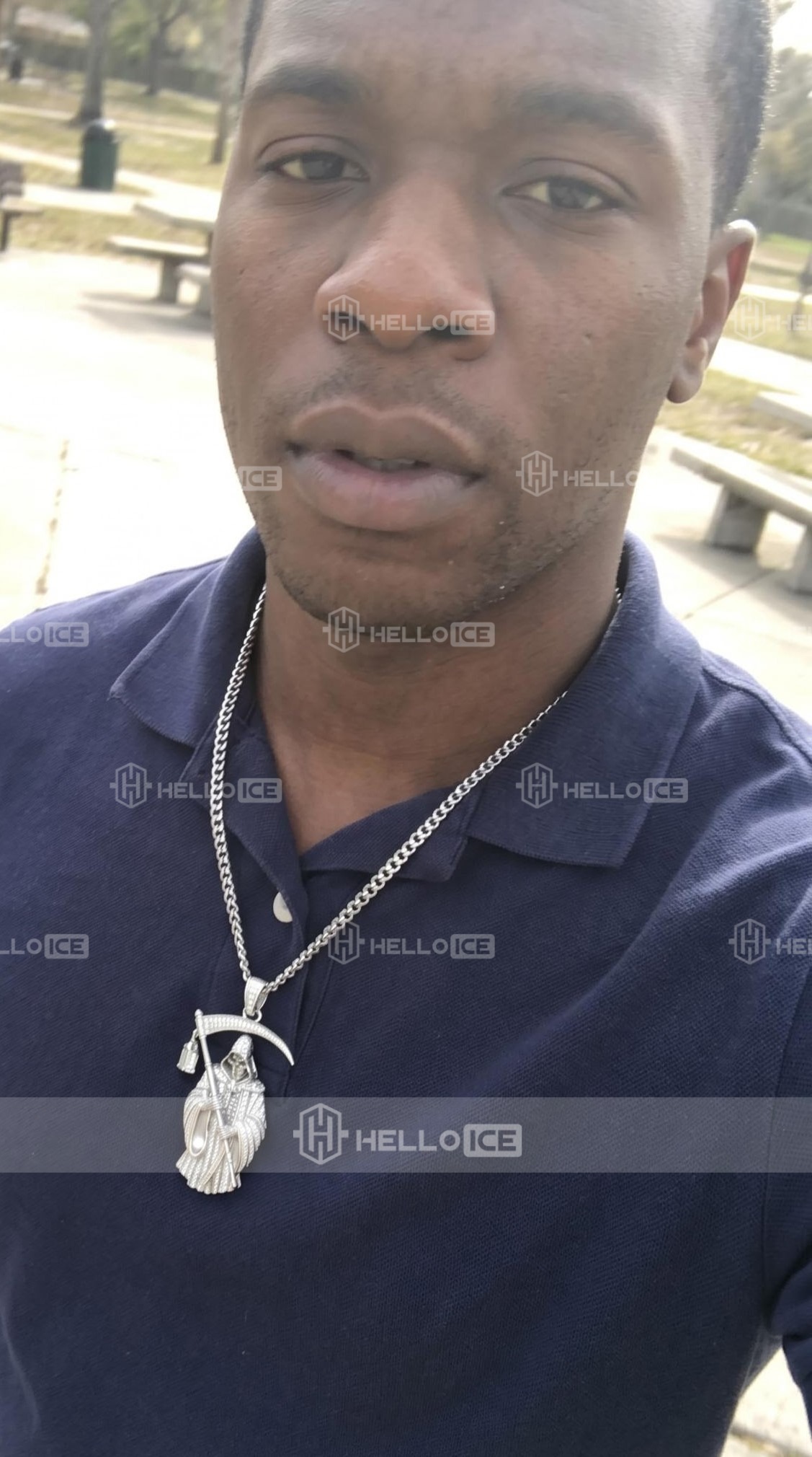 Helloice Review Image