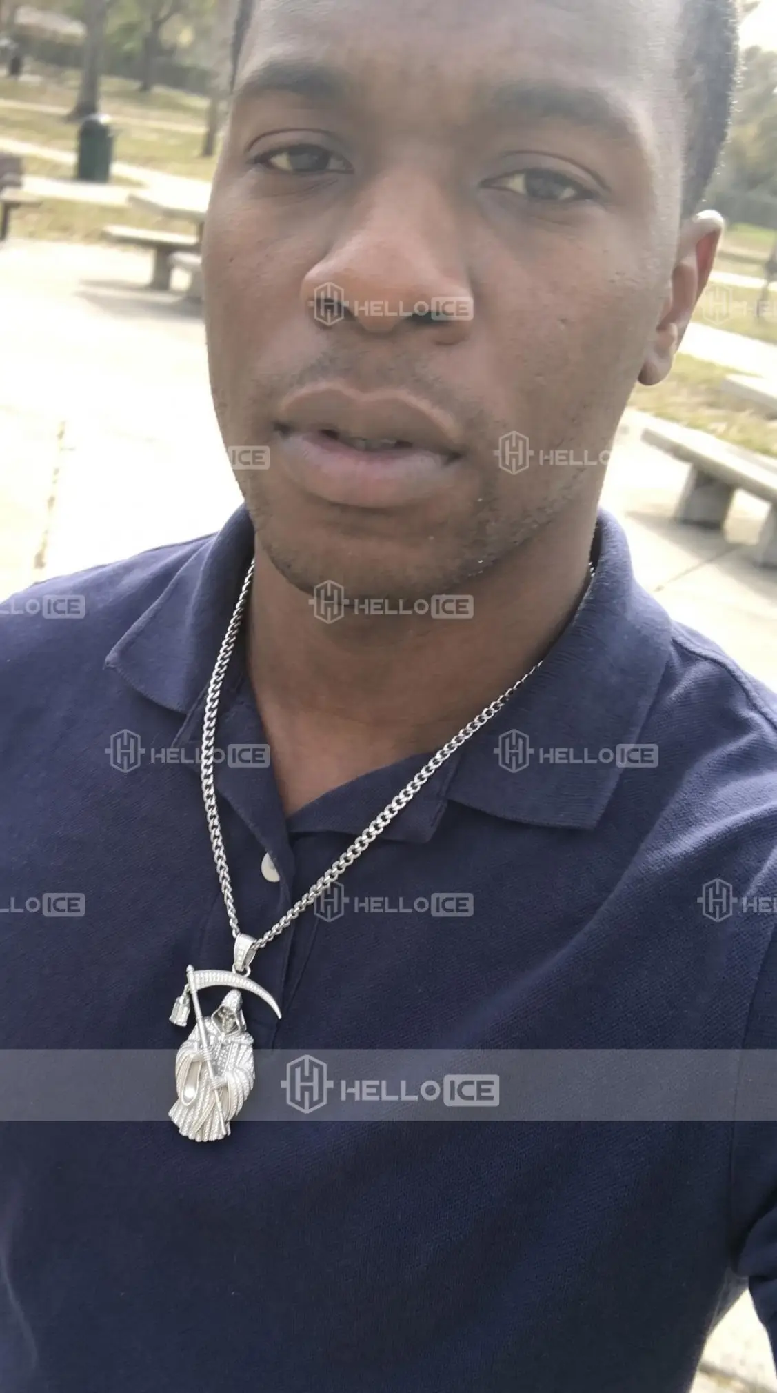 Helloice Review Image