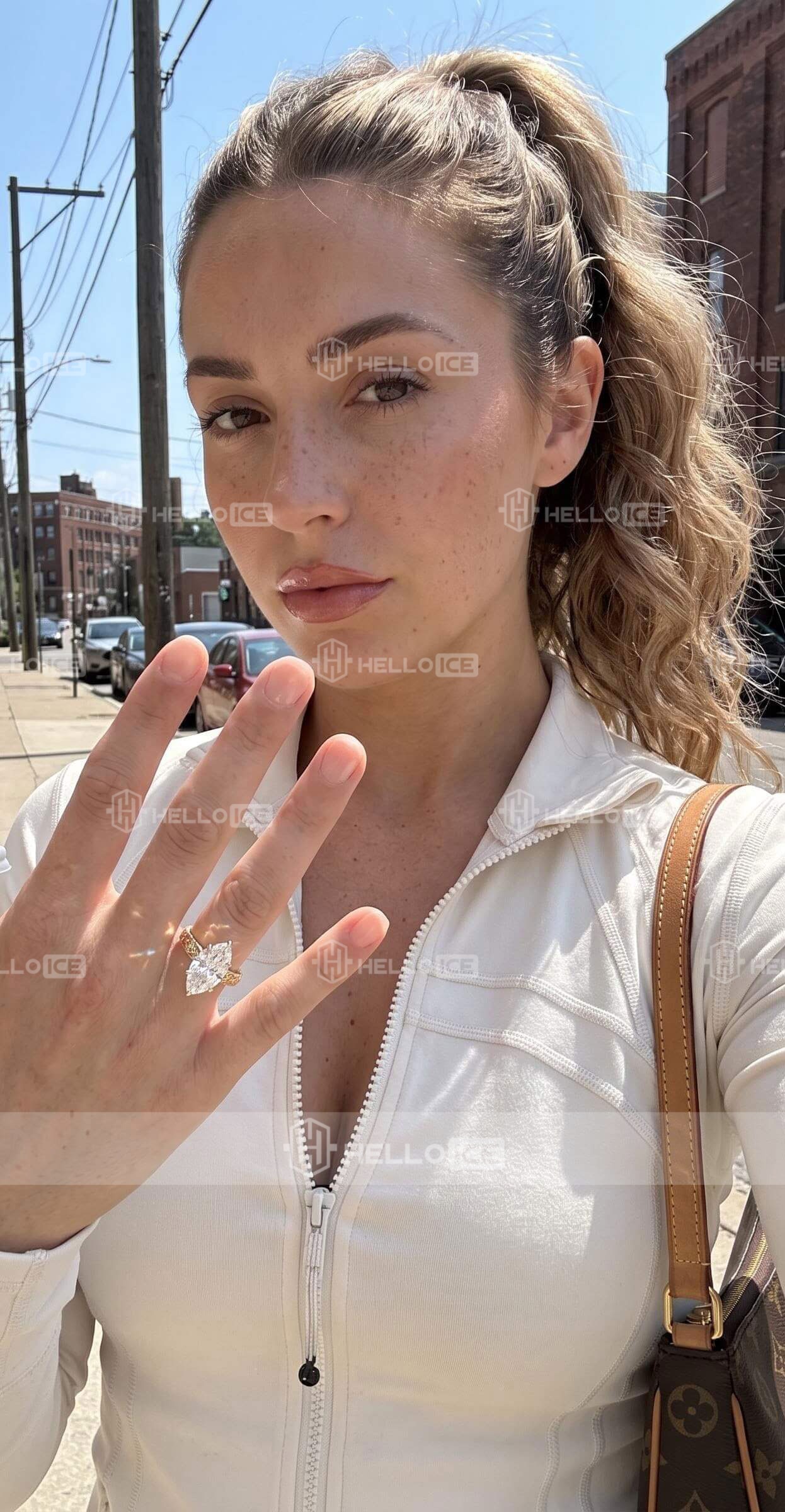 Helloice Review Image