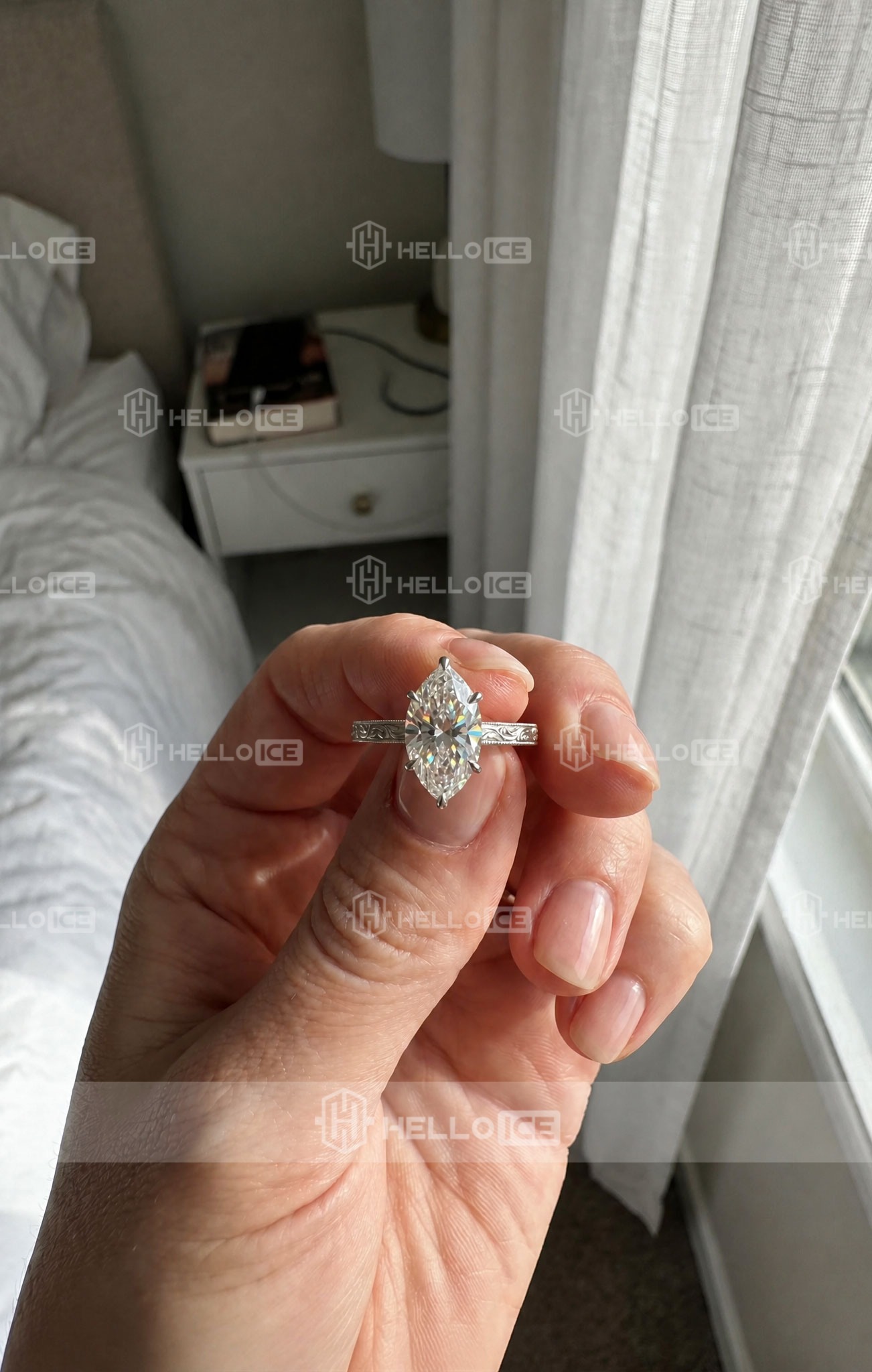 Helloice Review Image
