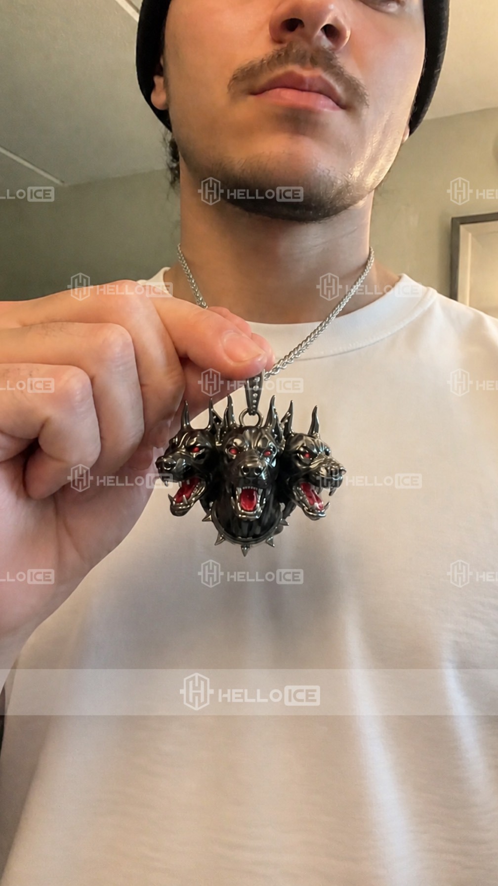 Helloice Review Image