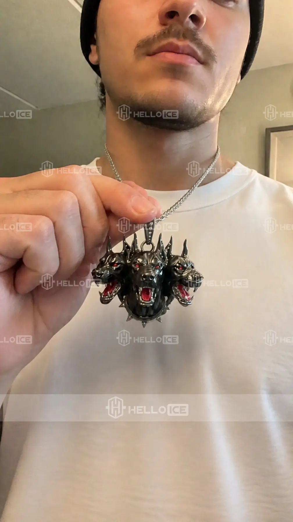 Helloice Review Image