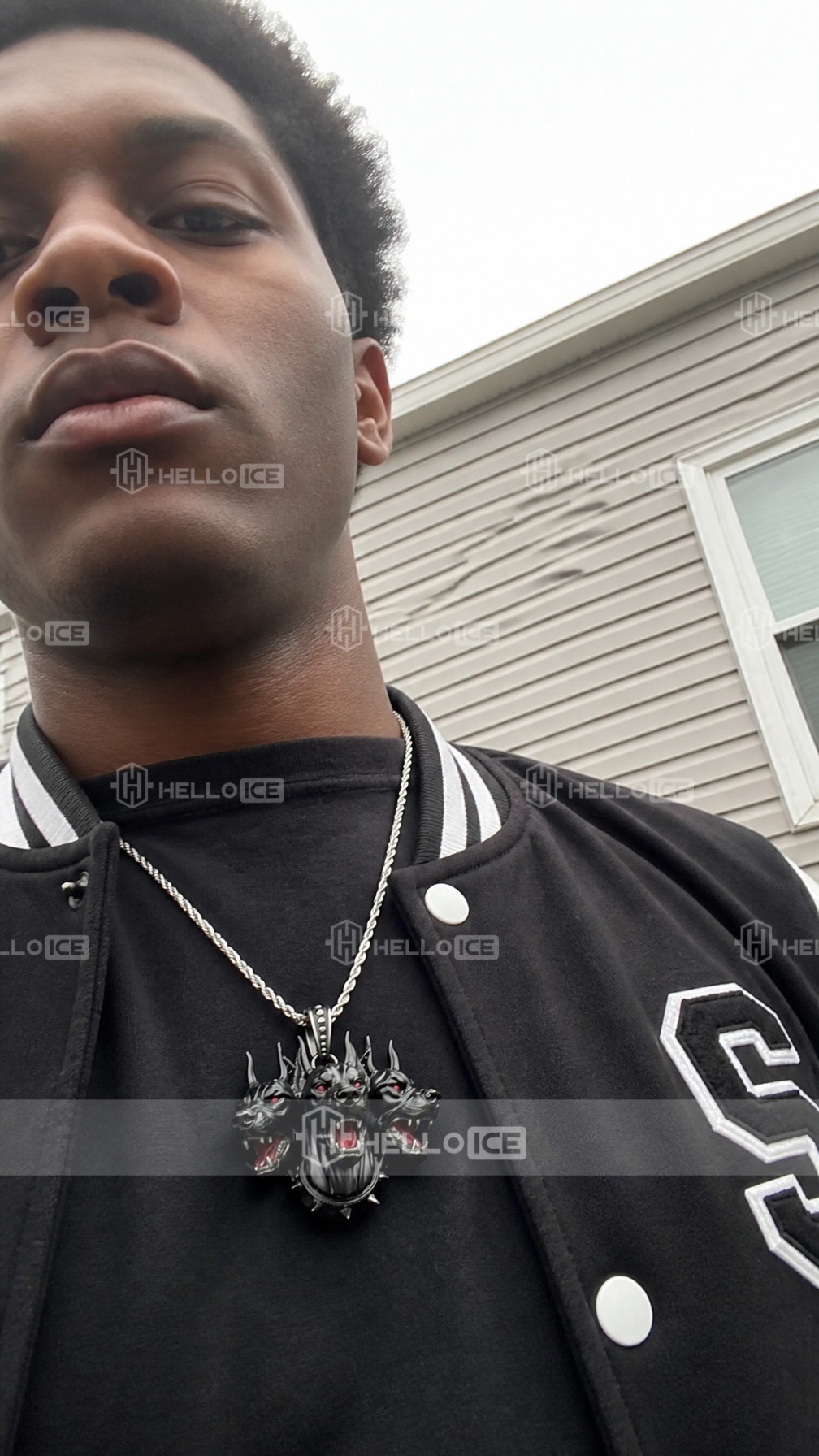 Helloice Review Image