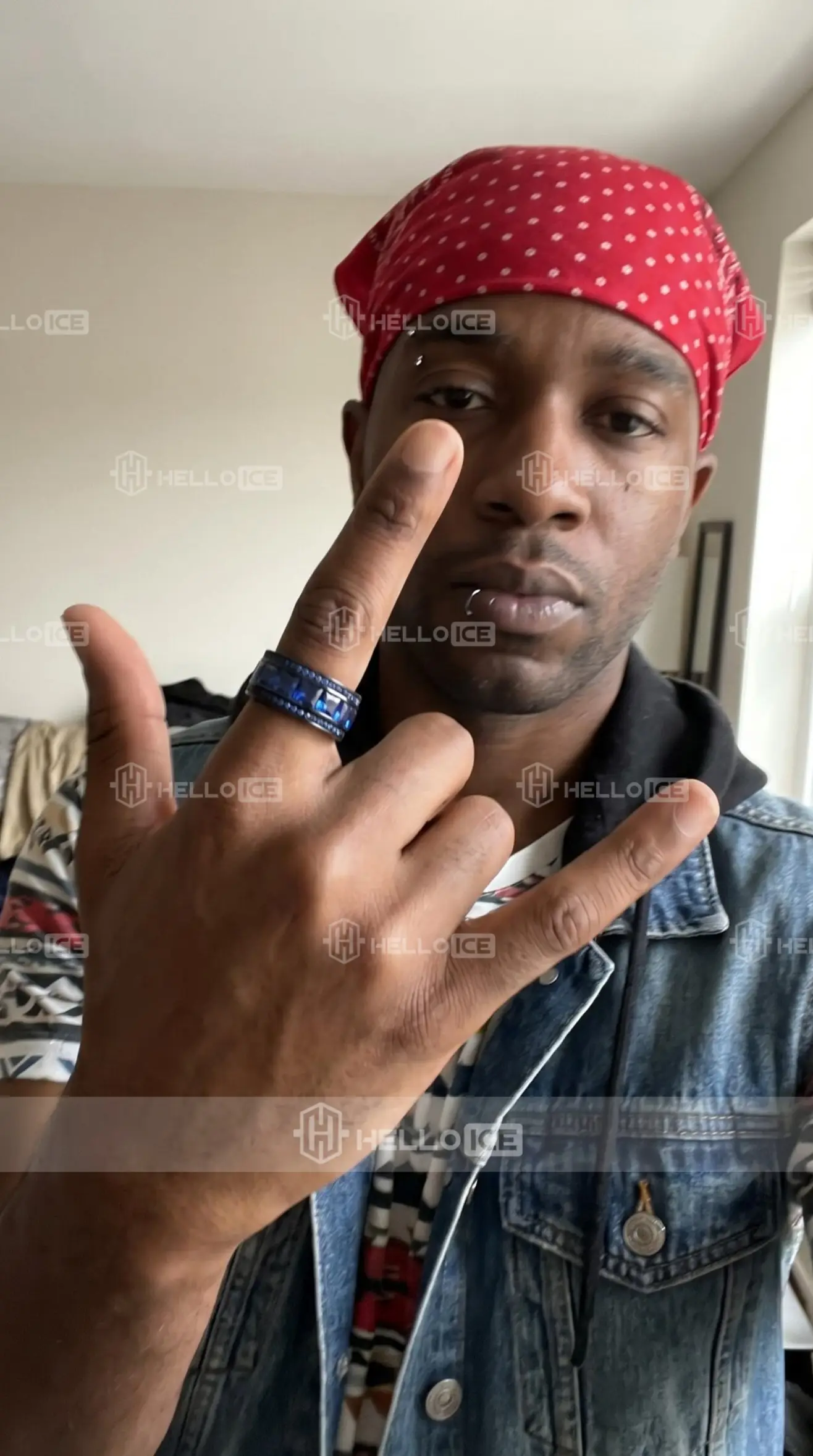 Helloice Review Image