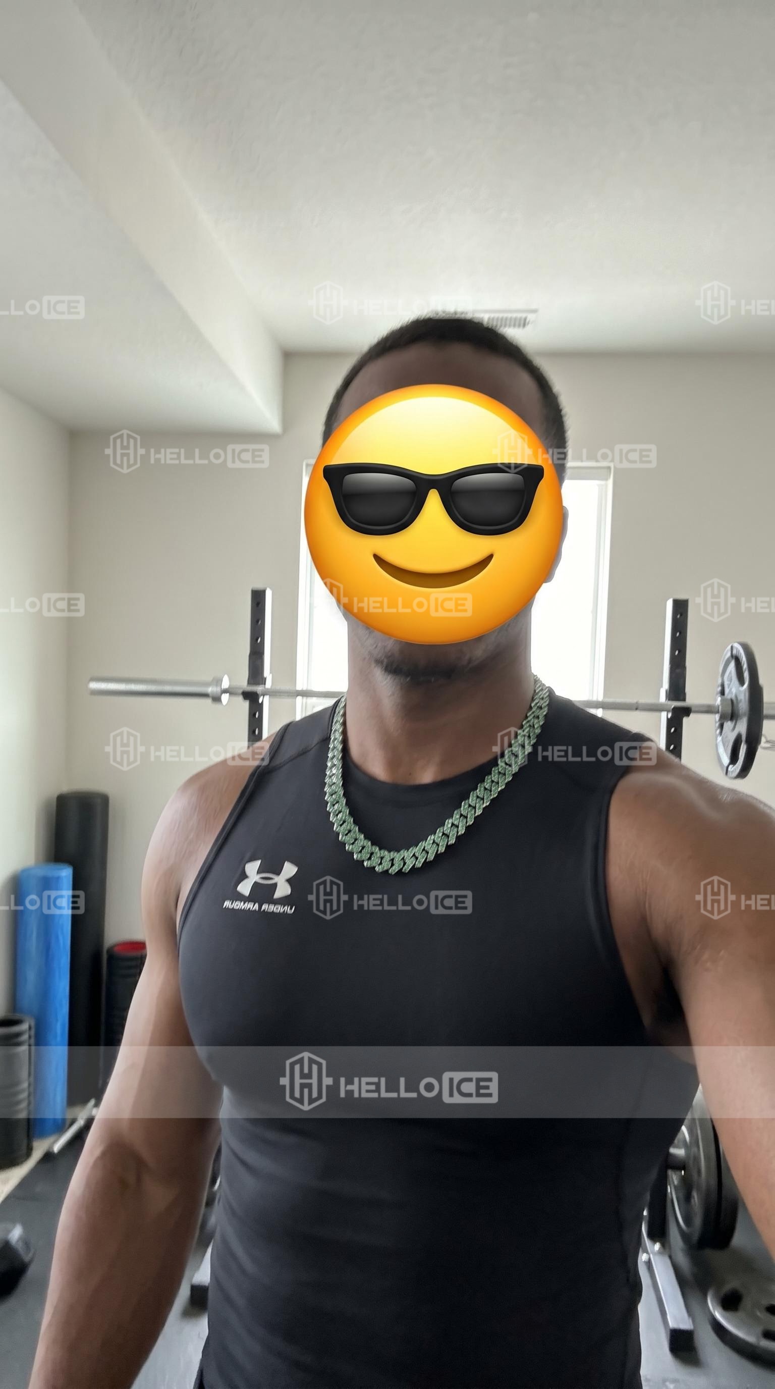 Helloice Review Image