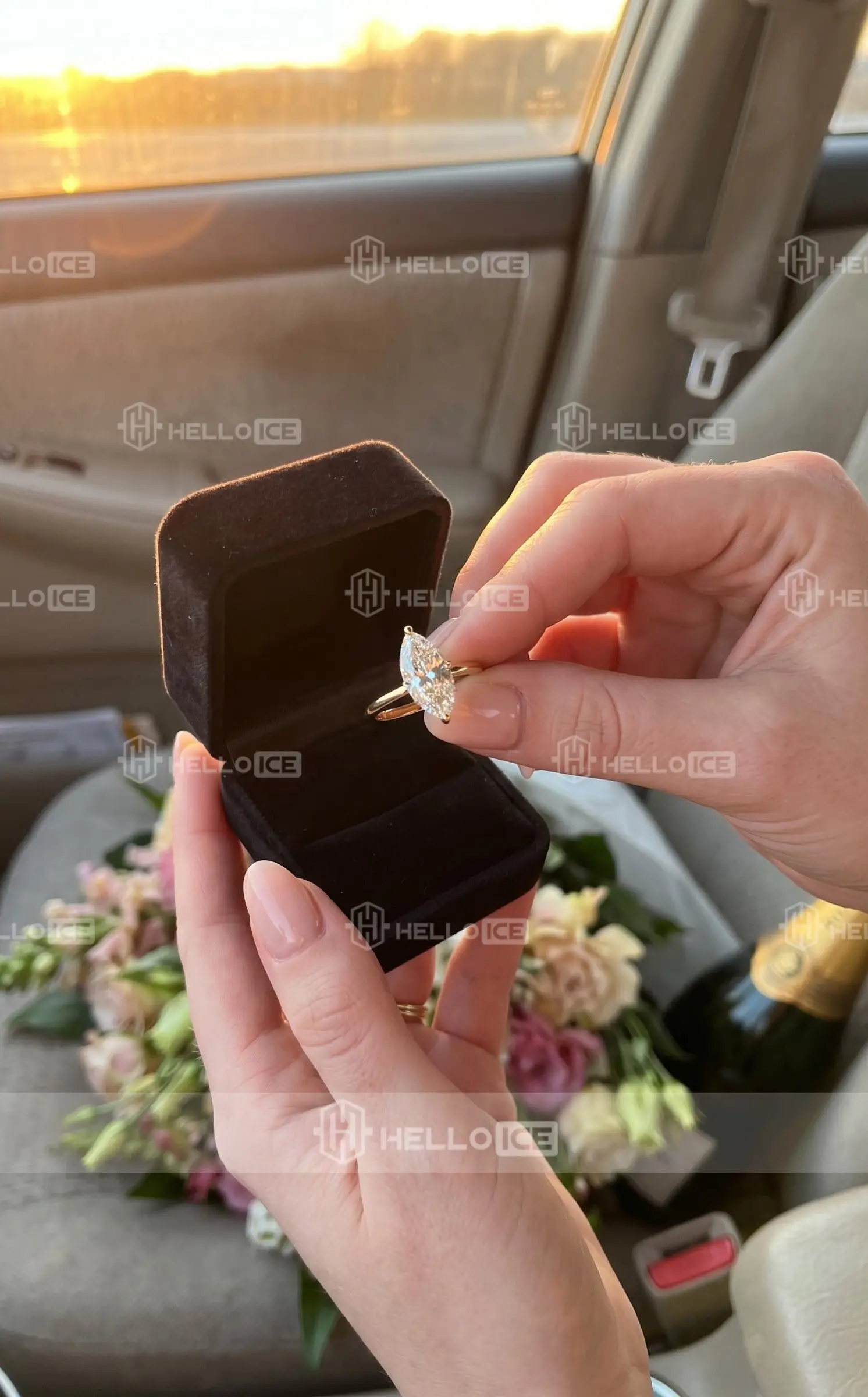 Helloice Review Image