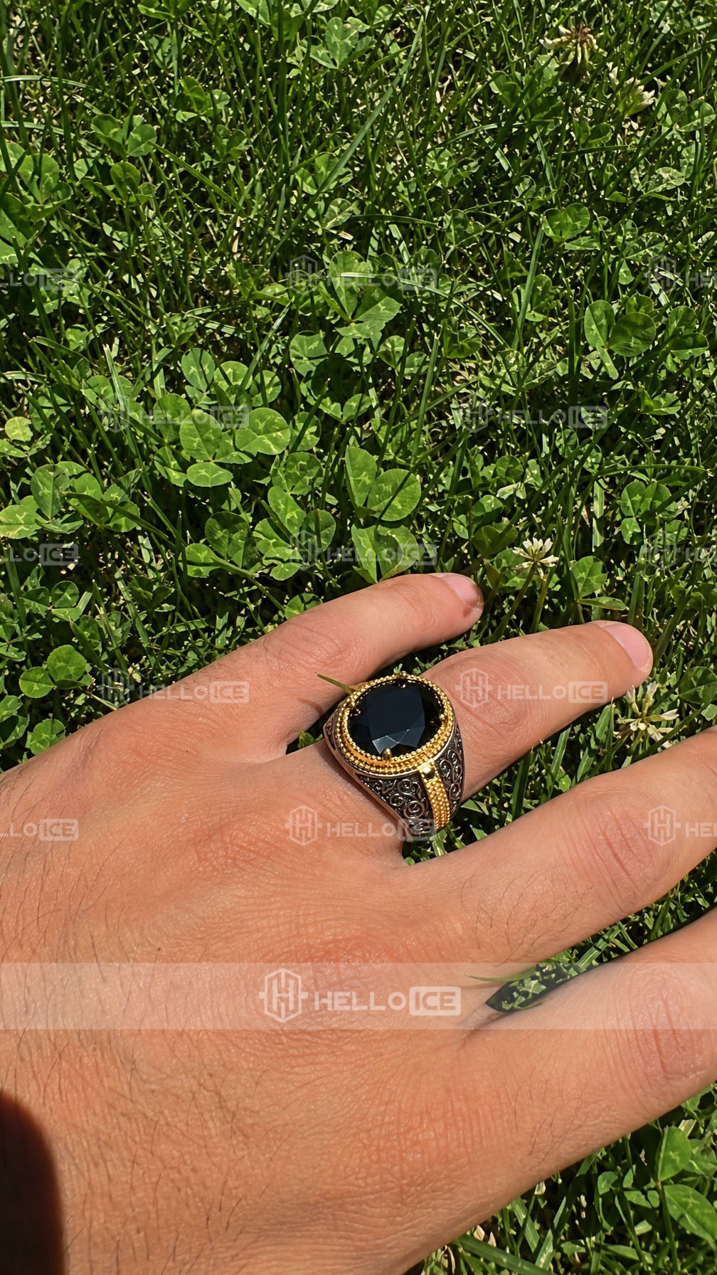 Helloice Review Image