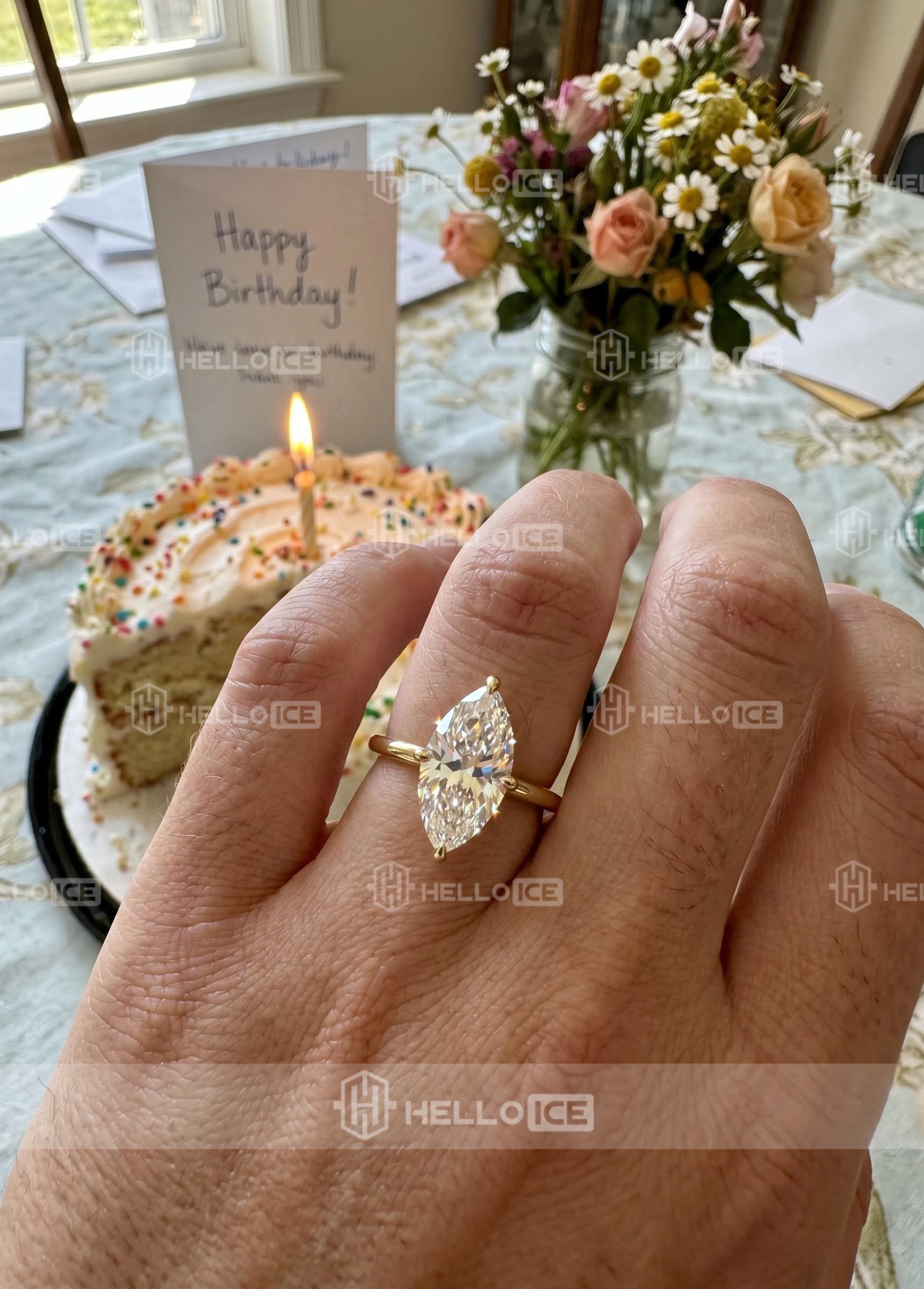 Helloice Review Image