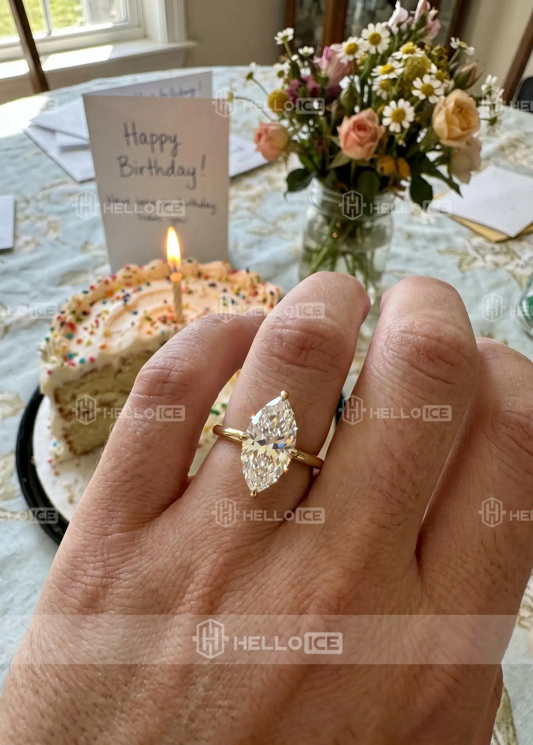 Helloice Review Image