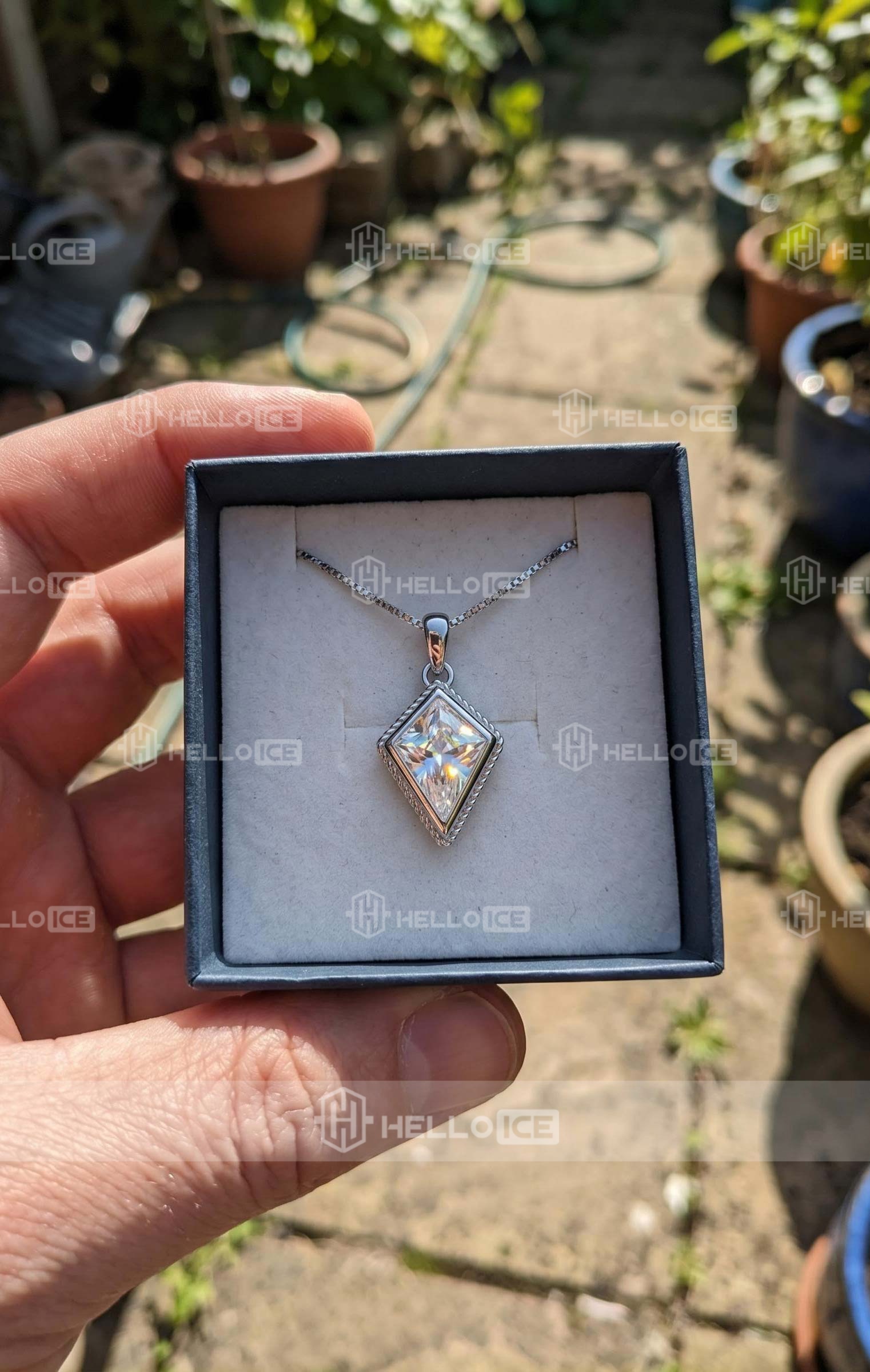 Helloice Review Image