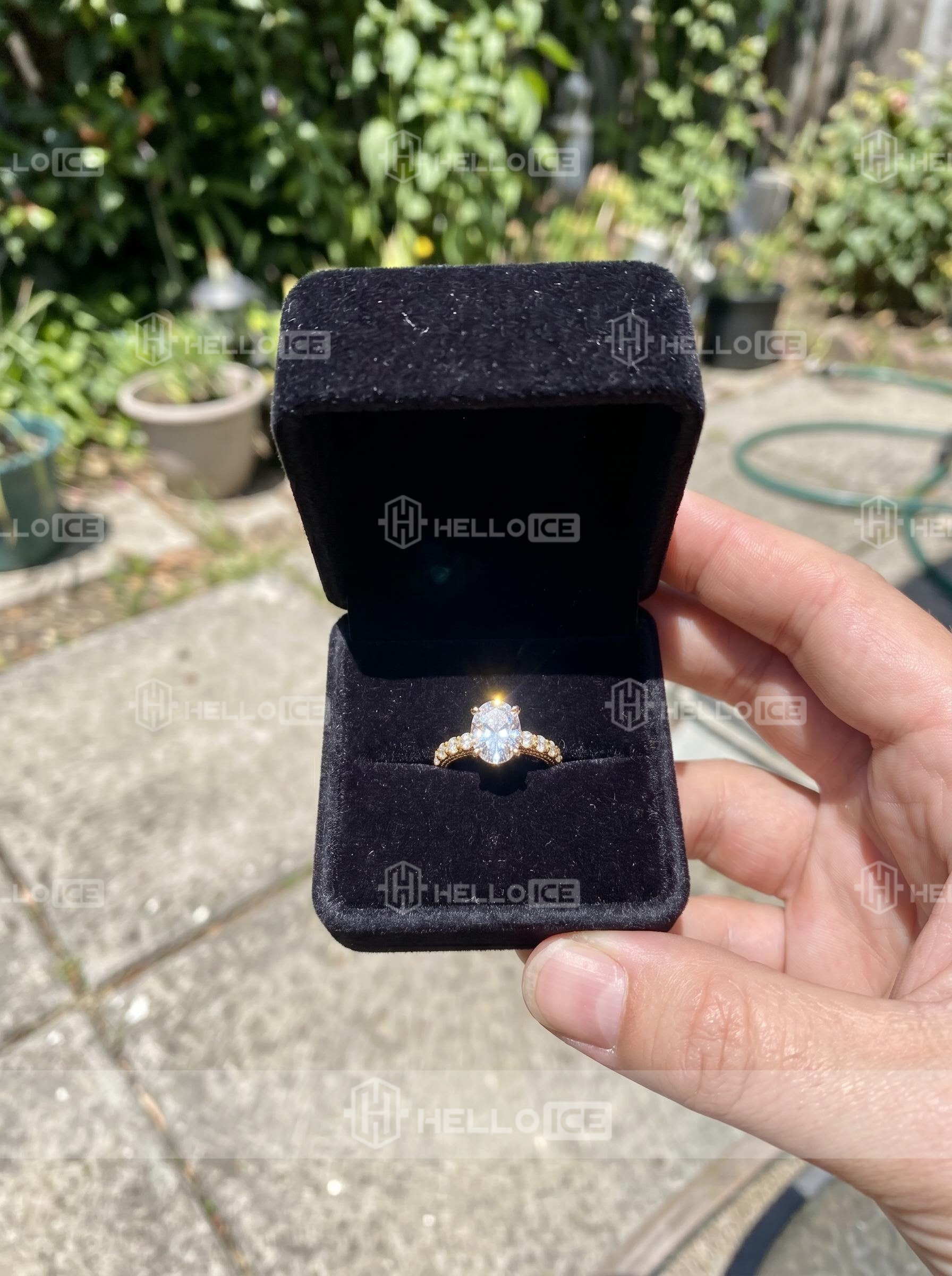 Helloice Review Image