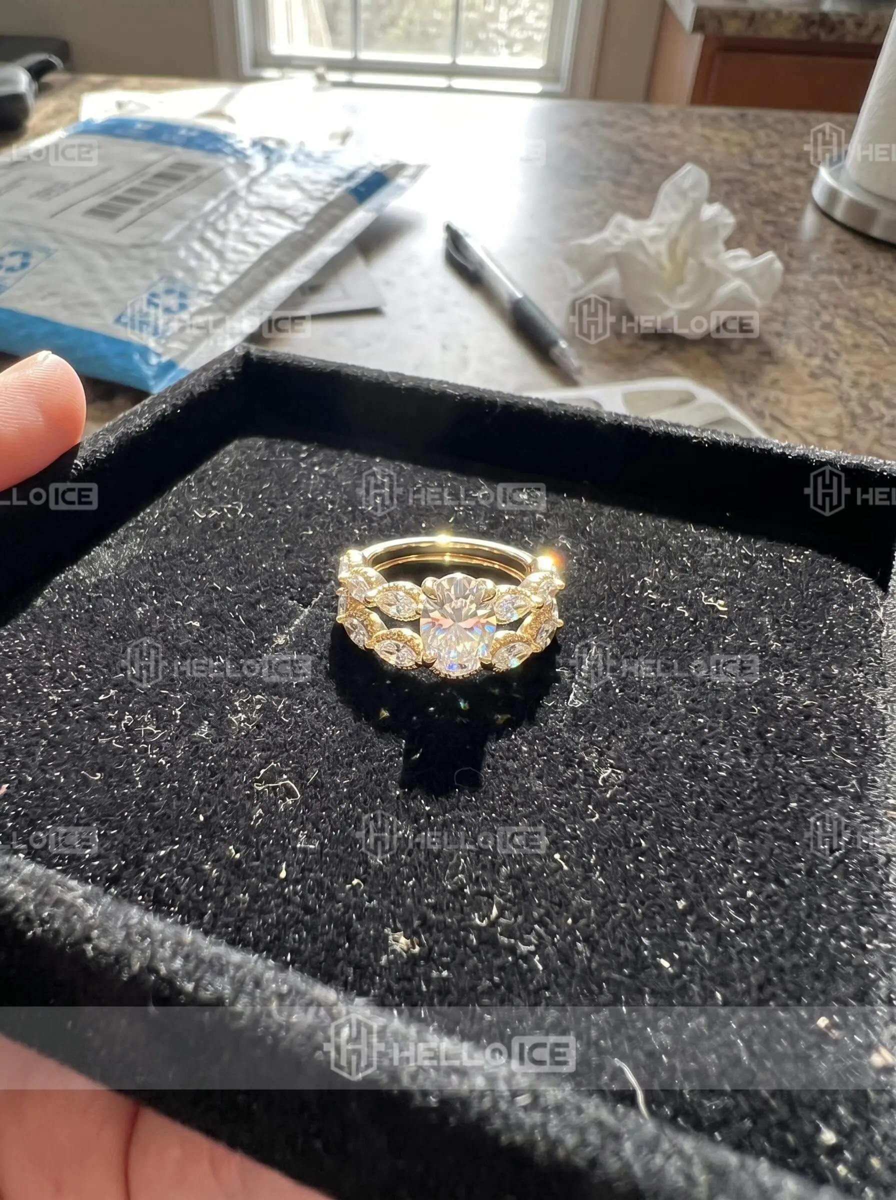 Helloice Review Image