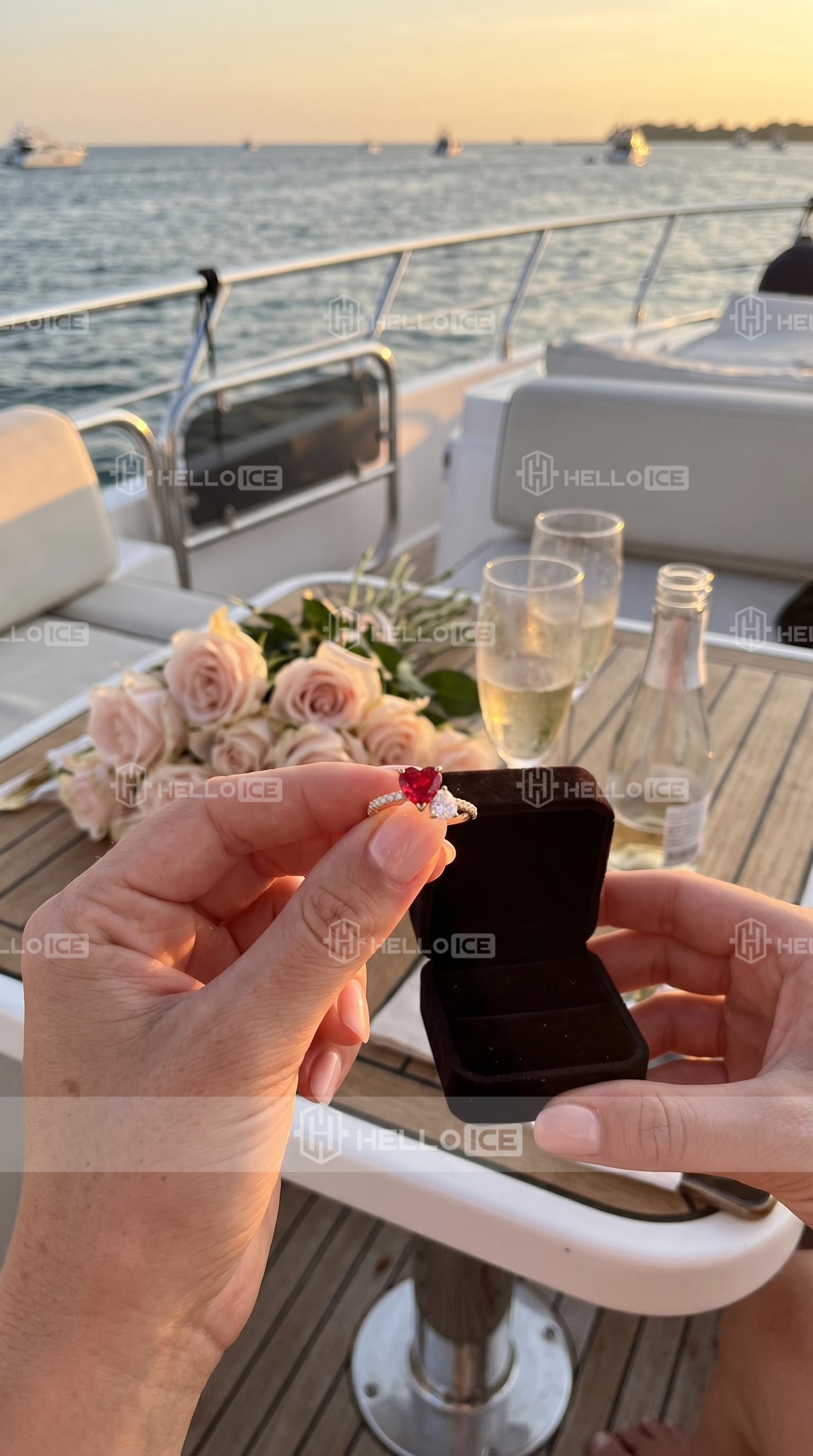 Helloice Review Image