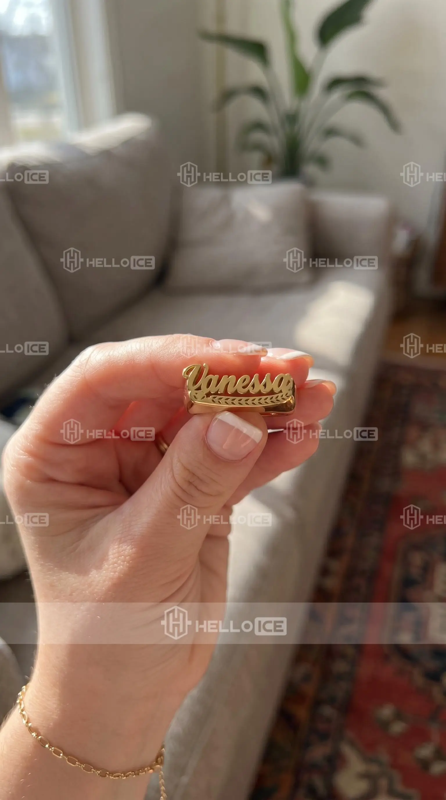 Helloice Review Image