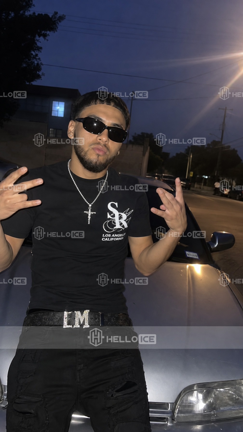 Helloice Review Image
