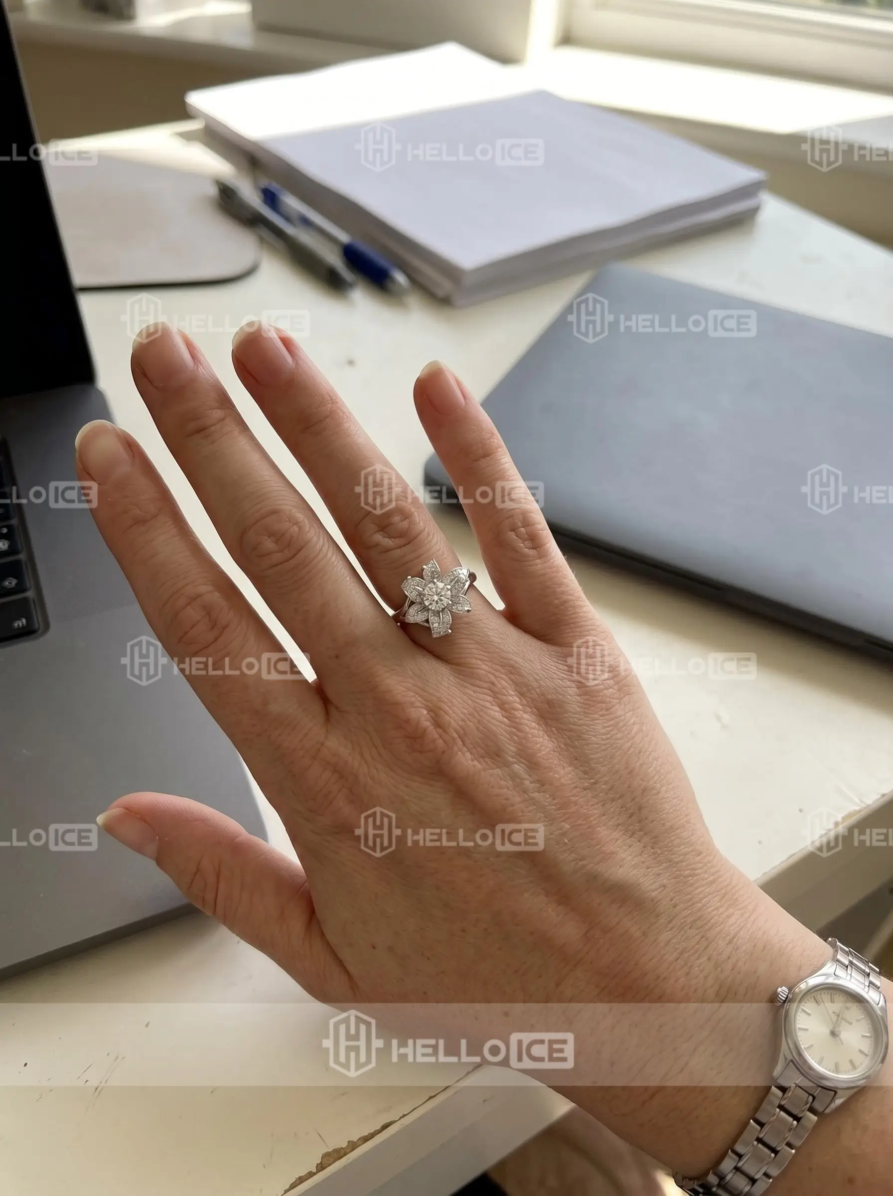 Helloice Review Image