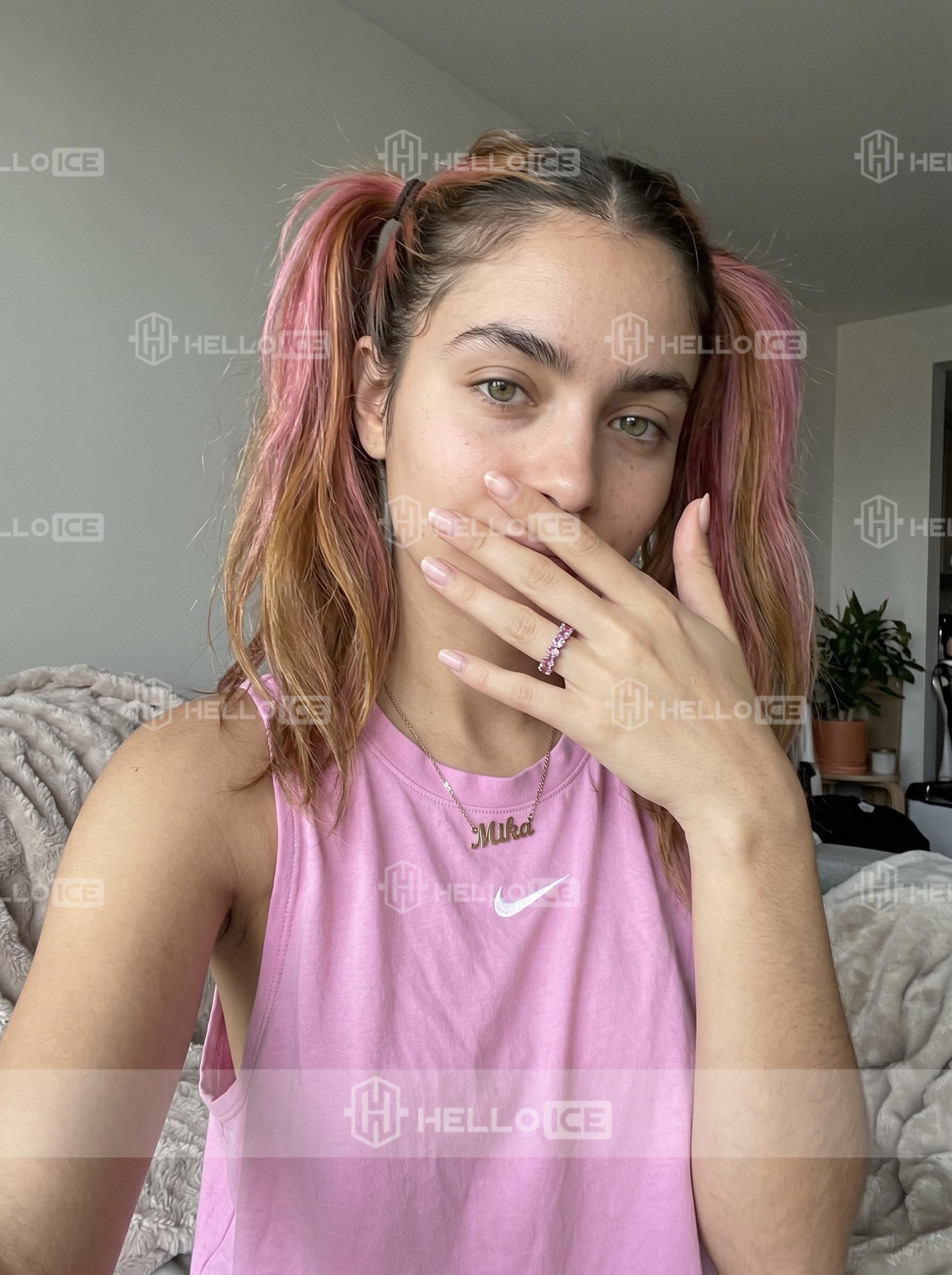 Helloice Review Image