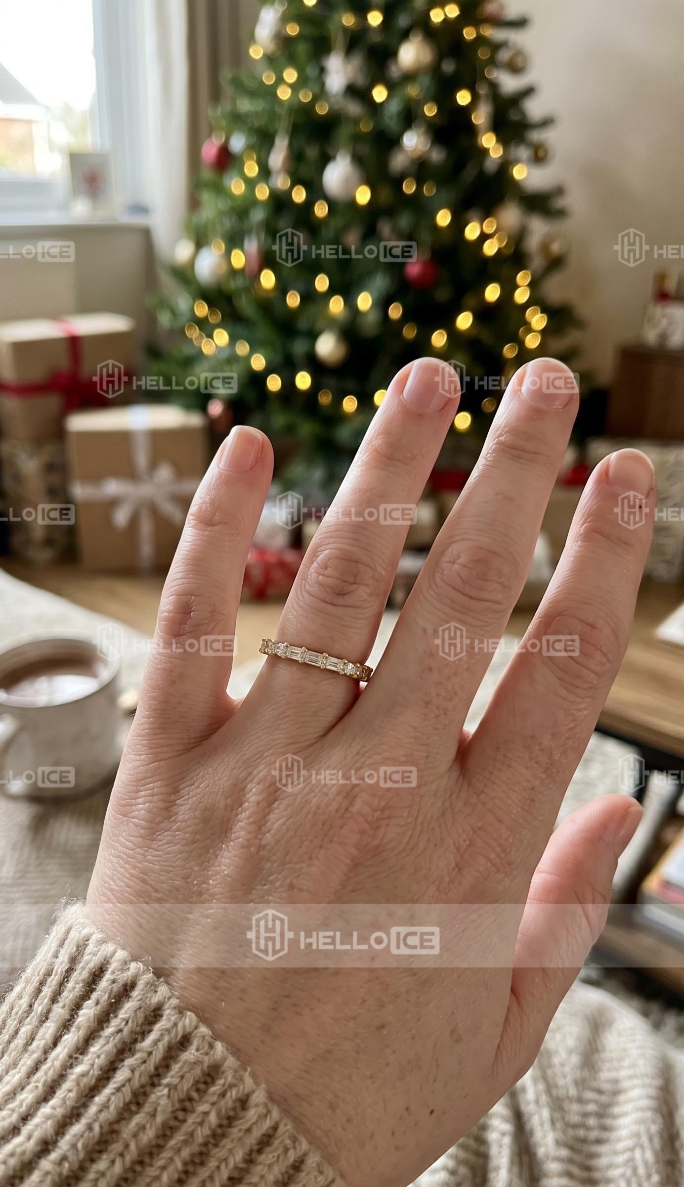 Helloice Review Image