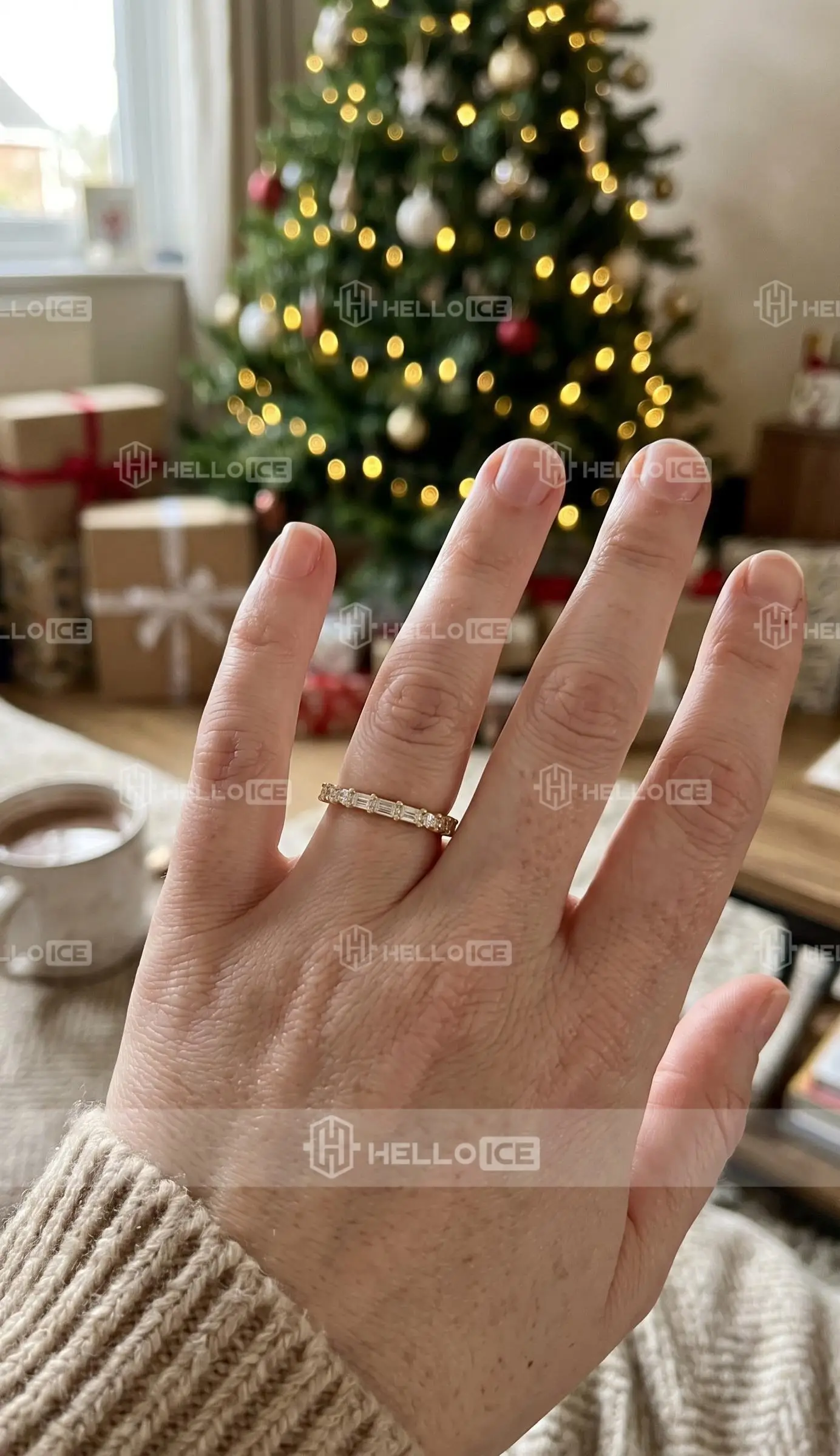 Helloice Review Image